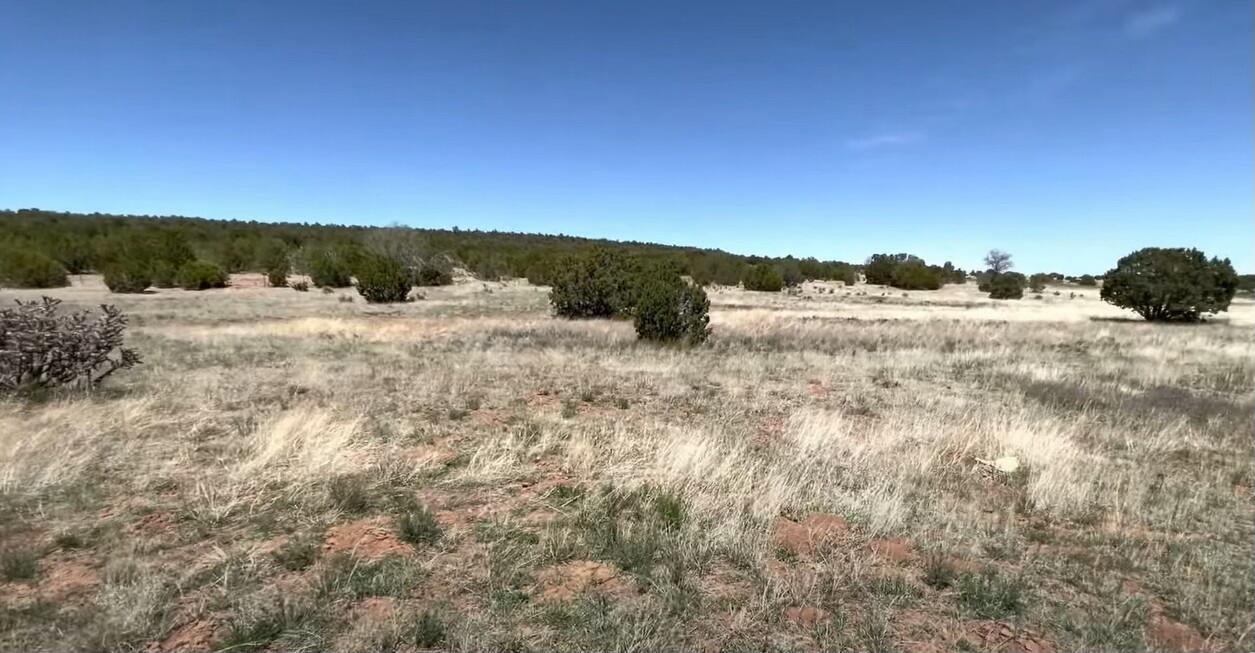 230 Mora Road, Tijeras, New Mexico image 12