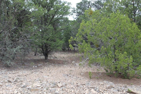 Vacant Land For Sale - 5 Manzano Loop<br/> Tijeras, NM 87059