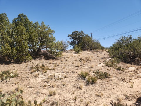 Tiny photo for 2 VALLE ESCONDIDO, Placitas, NM 87043 (MLS # 1102172)