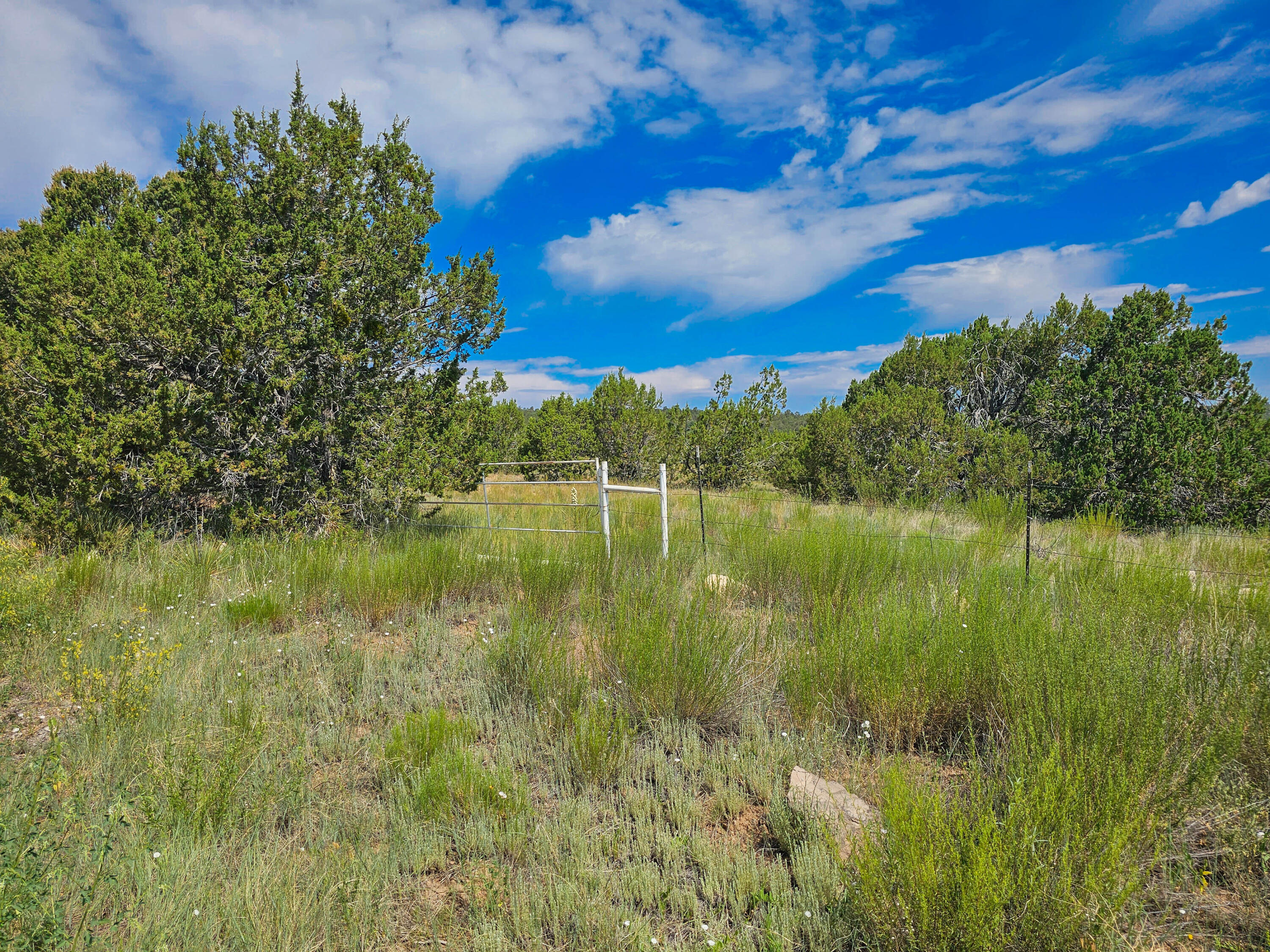 289 Gonzales Road, Edgewood, New Mexico image 8