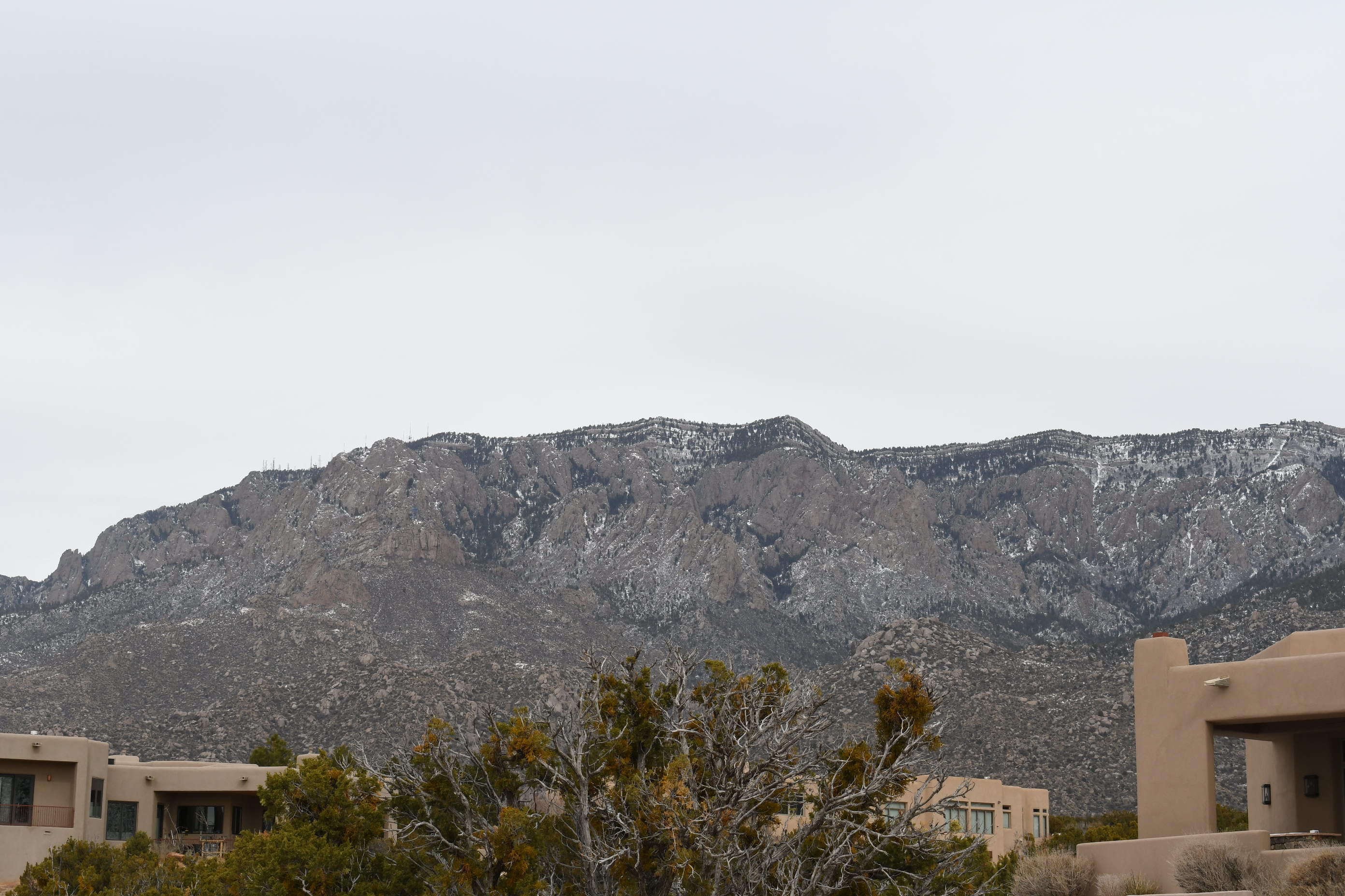 13705 Quaking Aspen Place, Albuquerque, New Mexico image 4