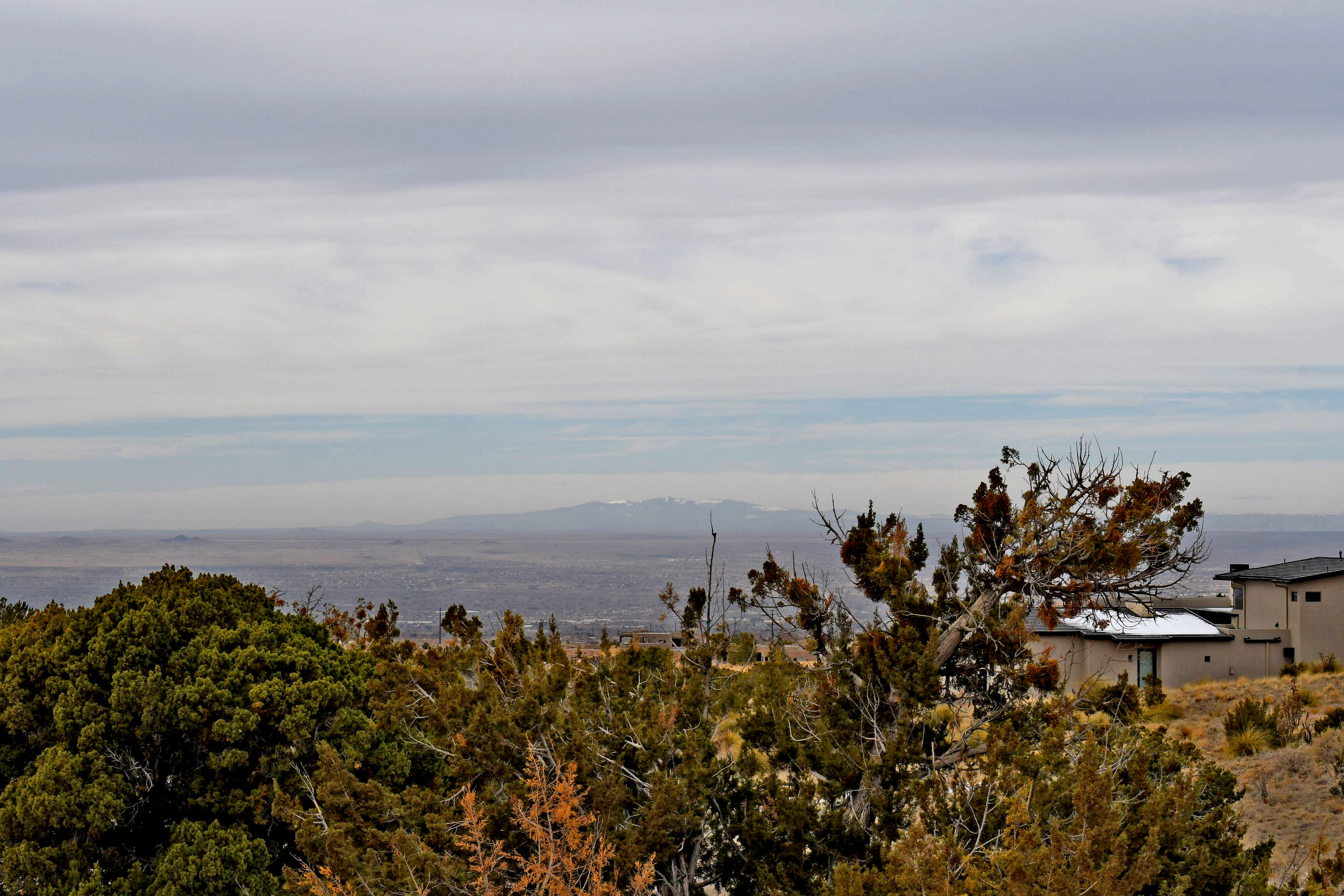 13705 Quaking Aspen Place, Albuquerque, New Mexico image 15