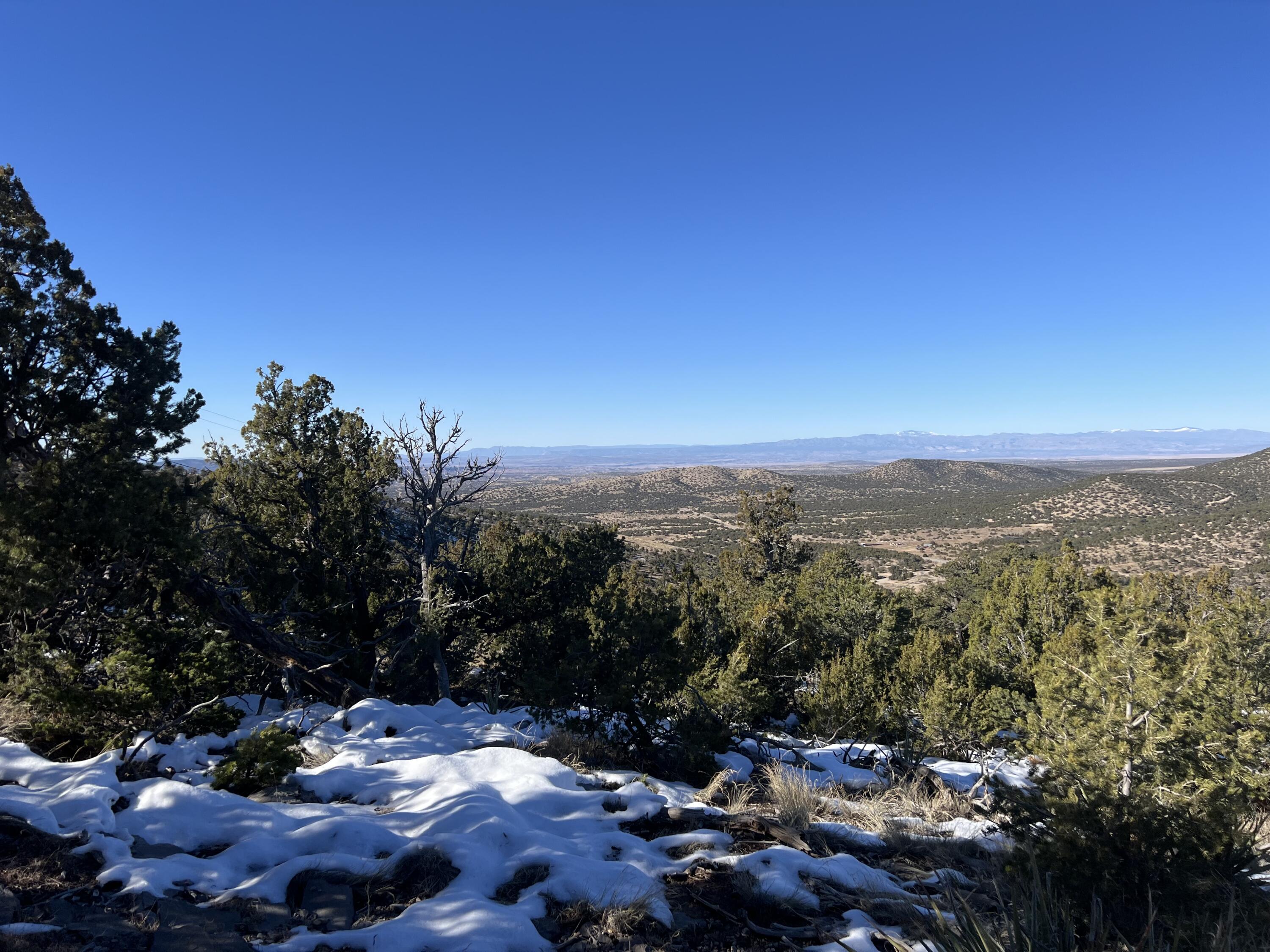 Ranchitos Road, Sandia Park, New Mexico image 6