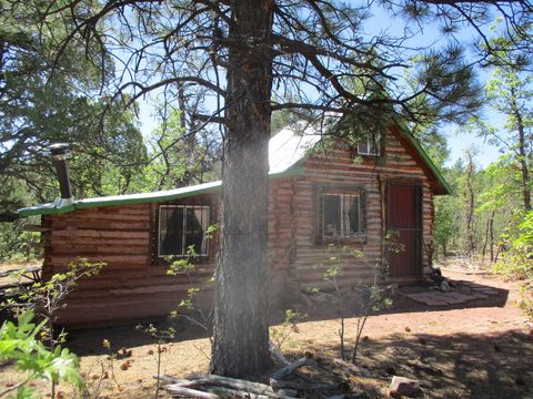 Vacant Land For Sale - Forest Road 157<br/> Ramah, NM 87321
