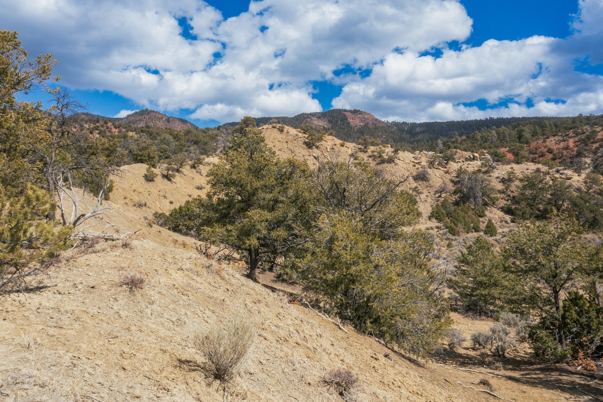 La Otra Banda, Cuba, New Mexico image 20
