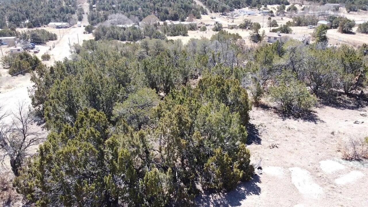 Pine Jay Lot Lane, Edgewood, New Mexico image 1