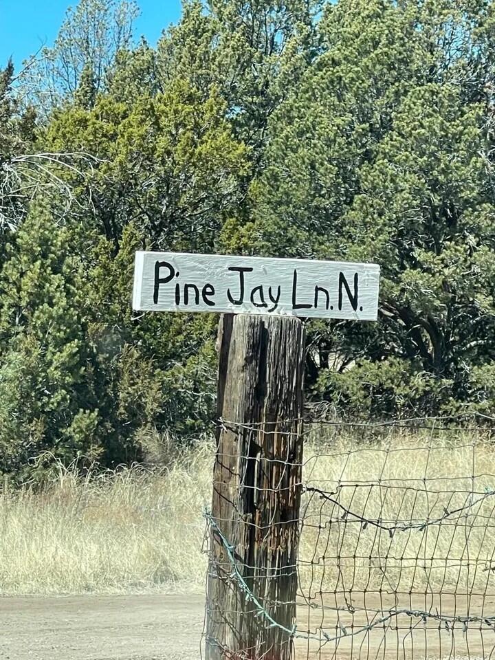 Pine Jay Lot Lane, Edgewood, New Mexico image 2