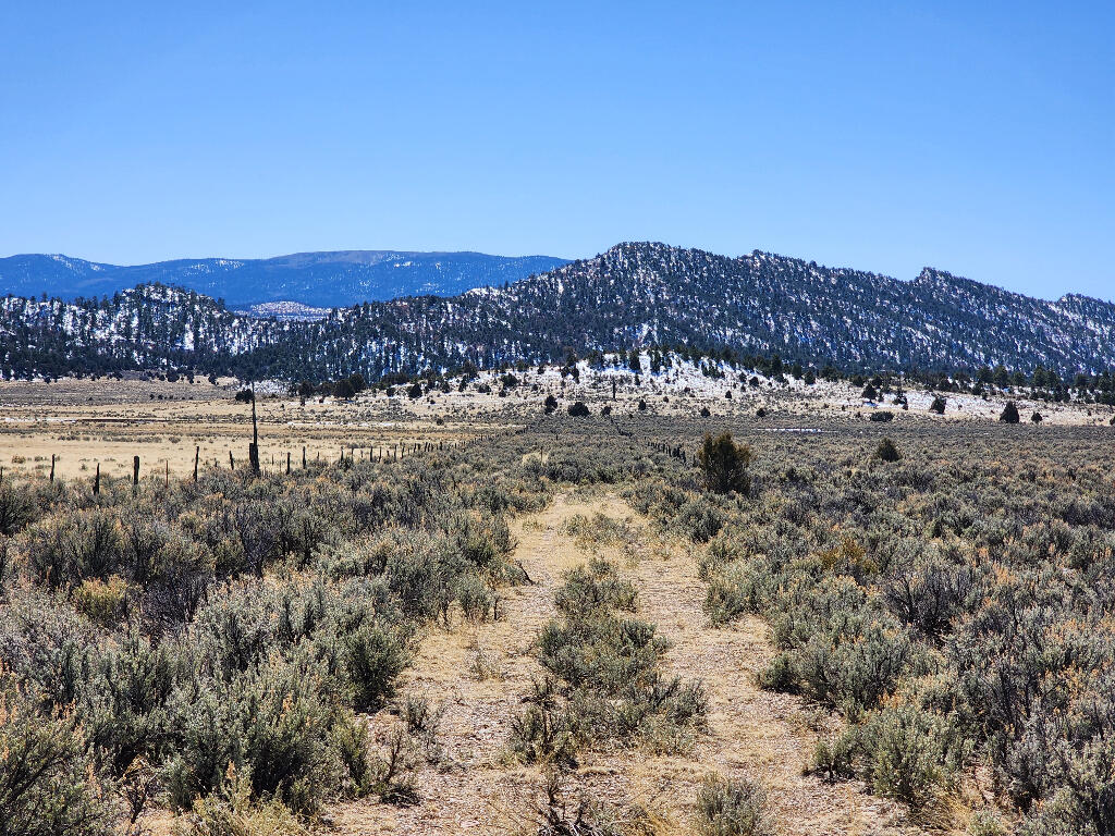 1702 Drive, Lindrith, New Mexico image 4