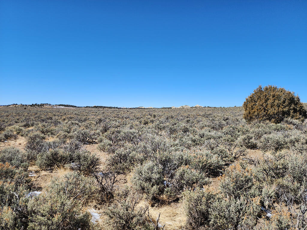 1702 Drive, Lindrith, New Mexico image 9