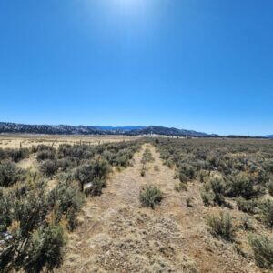 1702 Drive, Lindrith, New Mexico image 7