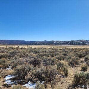 1702 Drive, Lindrith, New Mexico image 16