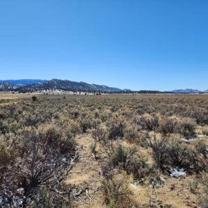 1702 Drive, Lindrith, New Mexico image 15