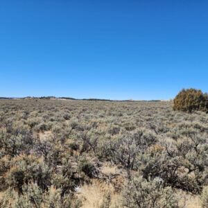 1702 Drive, Lindrith, New Mexico image 17
