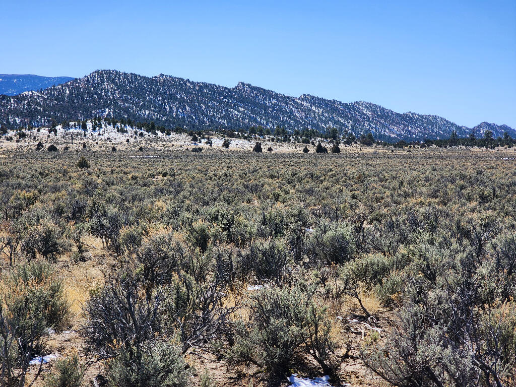 1702 Drive, Lindrith, New Mexico image 12