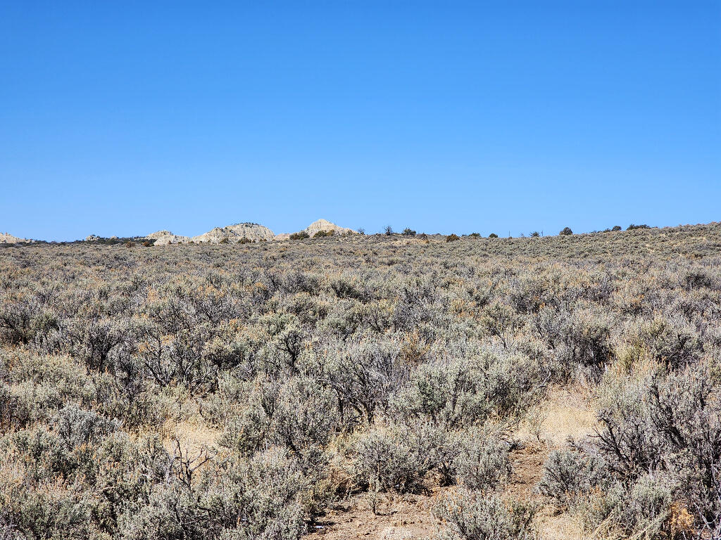 1702 Drive, Lindrith, New Mexico image 11