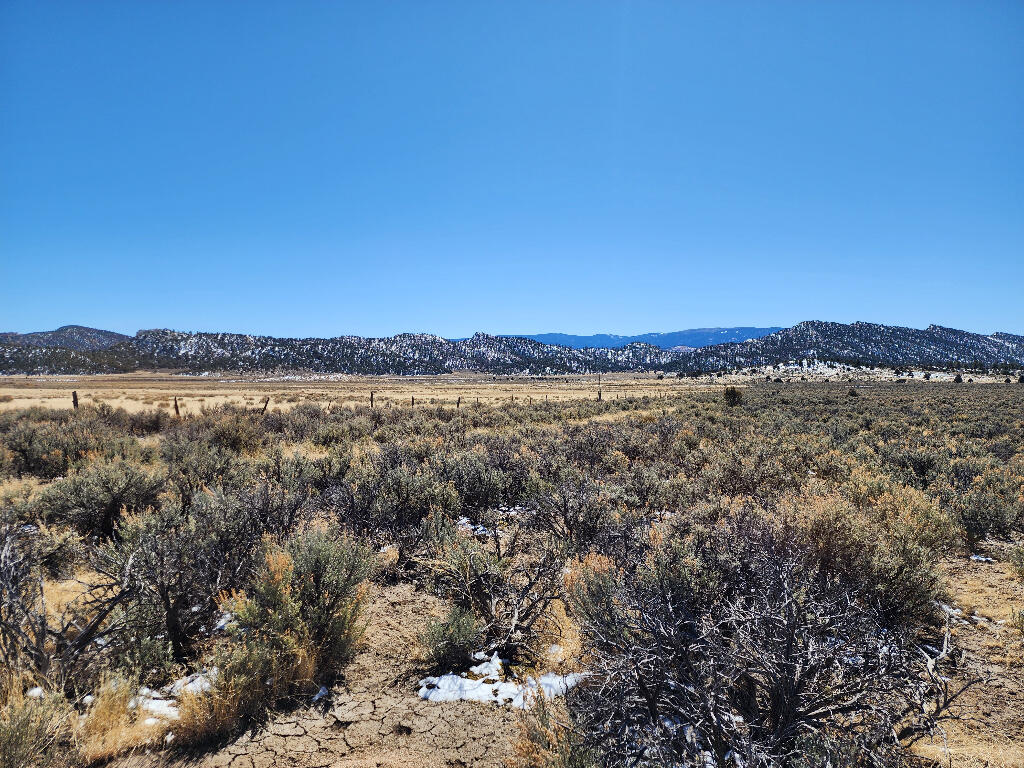 1702 Drive, Lindrith, New Mexico image 8