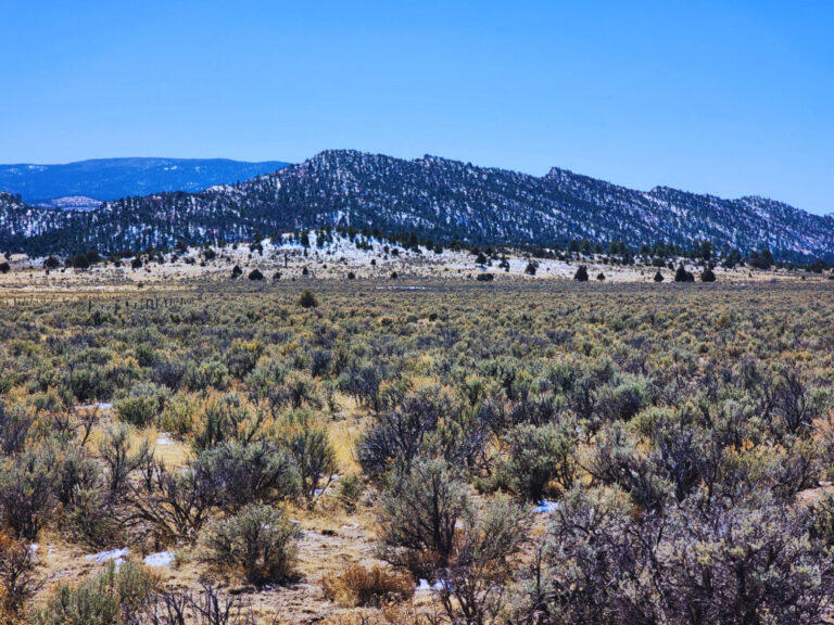 1702 Drive, Lindrith, New Mexico image 3