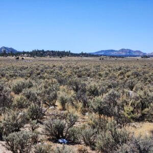 1702 Drive, Lindrith, New Mexico image 13