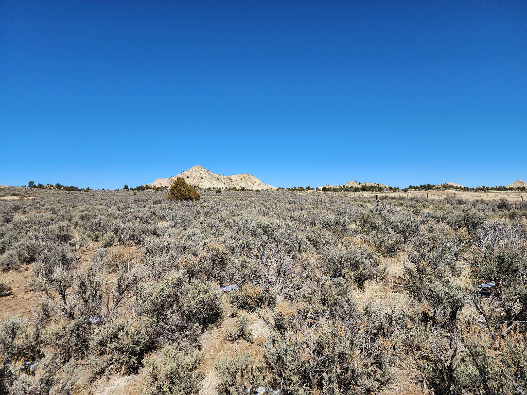 1702 Drive, Lindrith, New Mexico image 10