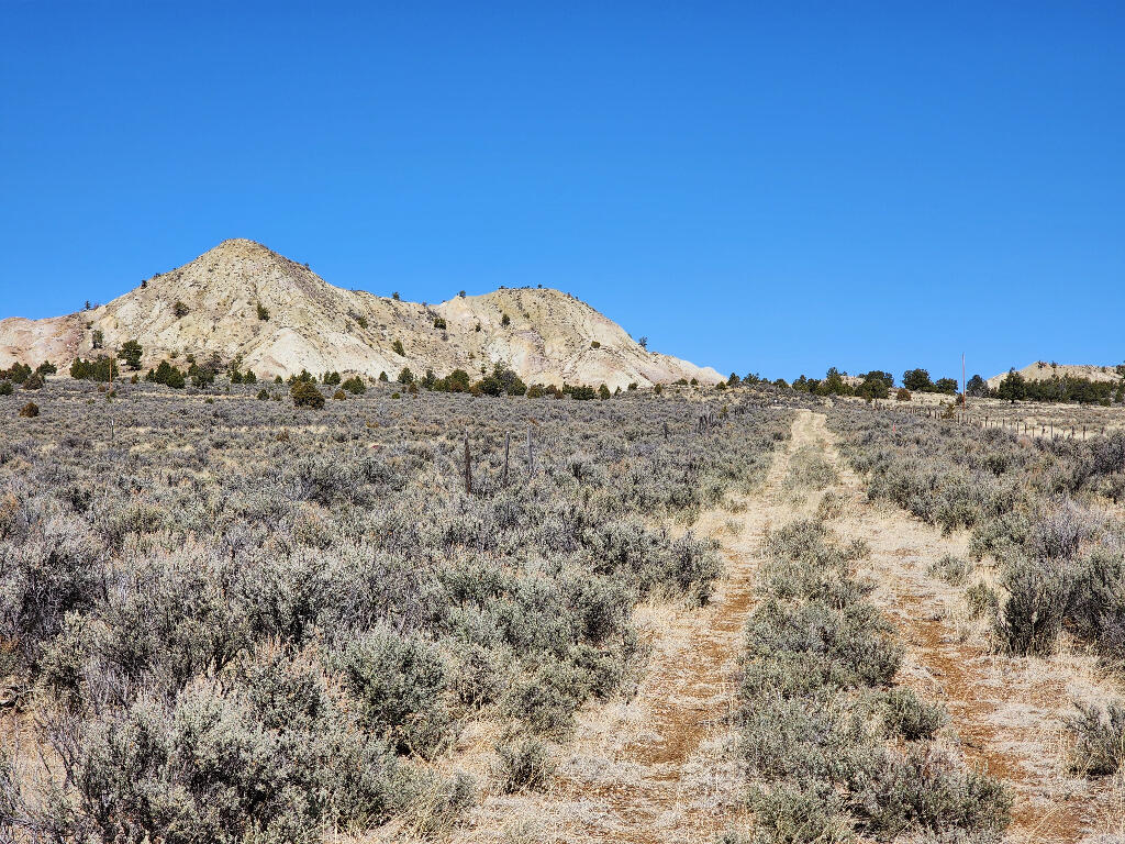 1702 Drive, Lindrith, New Mexico image 5