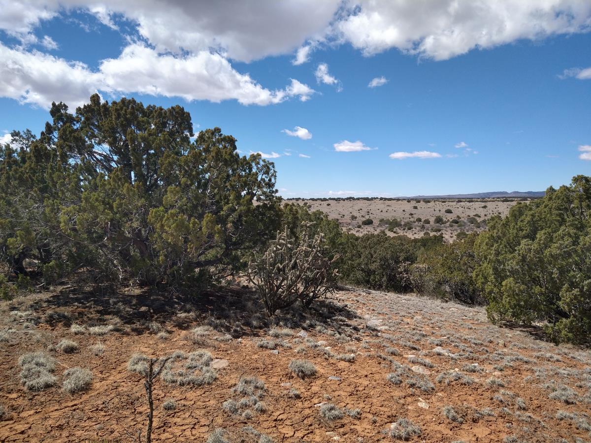 Rancho De Abo / Vineyard Ln Road, Mountainair, New Mexico image 4