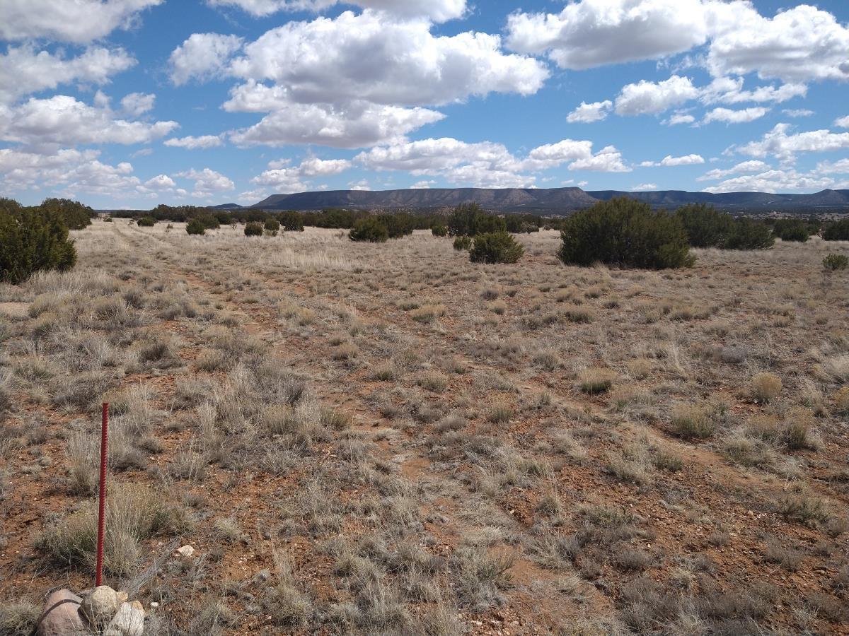 Rancho De Abo / Vineyard Ln Road, Mountainair, New Mexico image 2