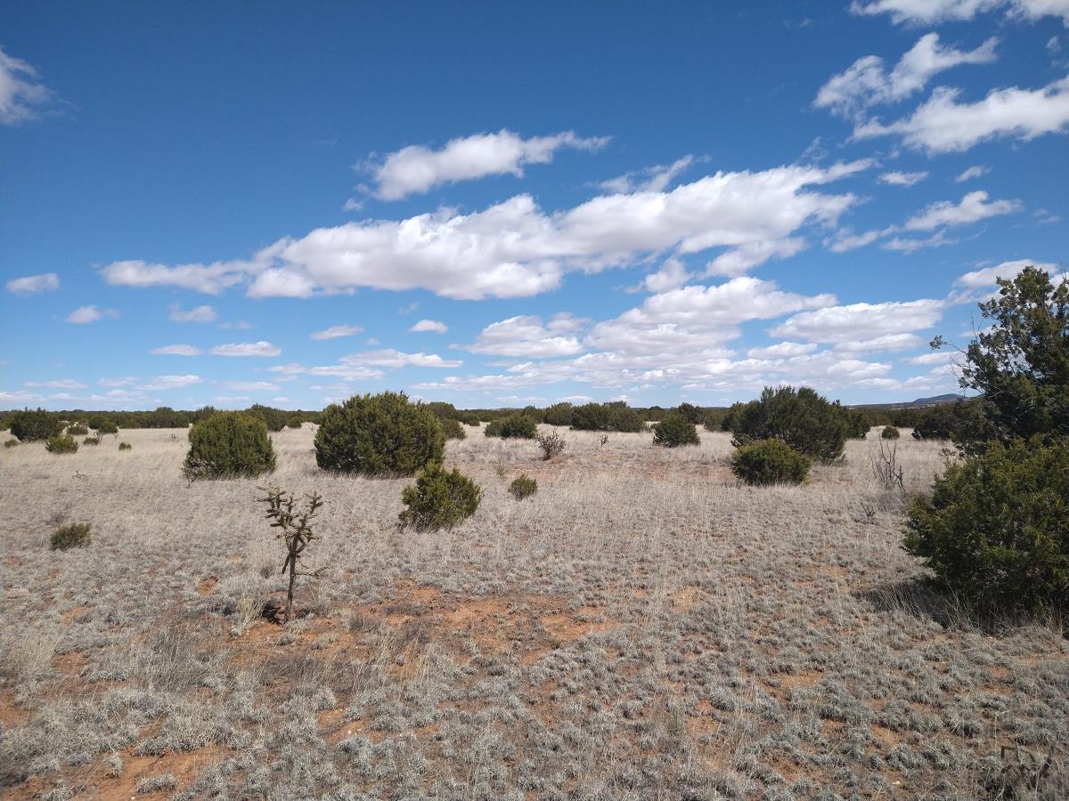 Rancho De Abo / Vineyard Ln Road, Mountainair, New Mexico image 15