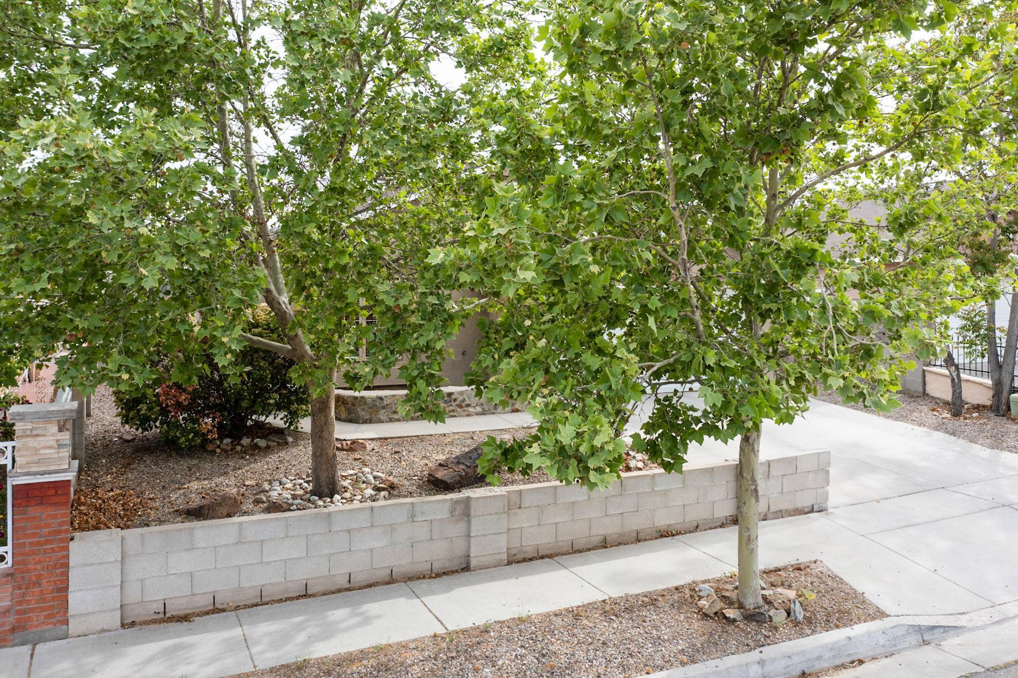 8912 Silverado Avenue, Albuquerque, New Mexico image 8