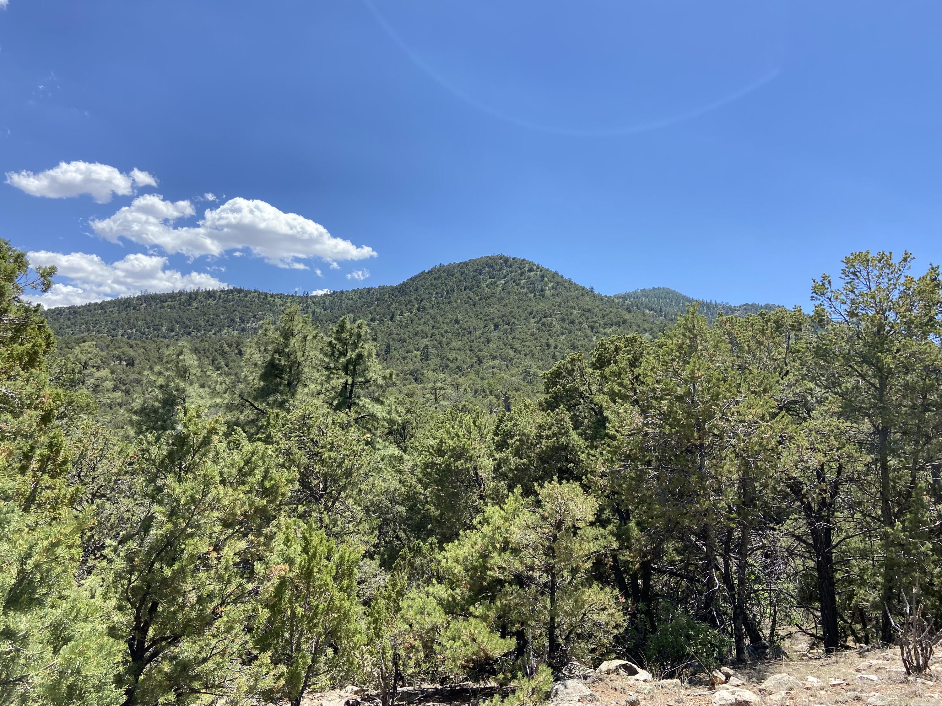 Ave Del Monte, Sandia Park, New Mexico image 2