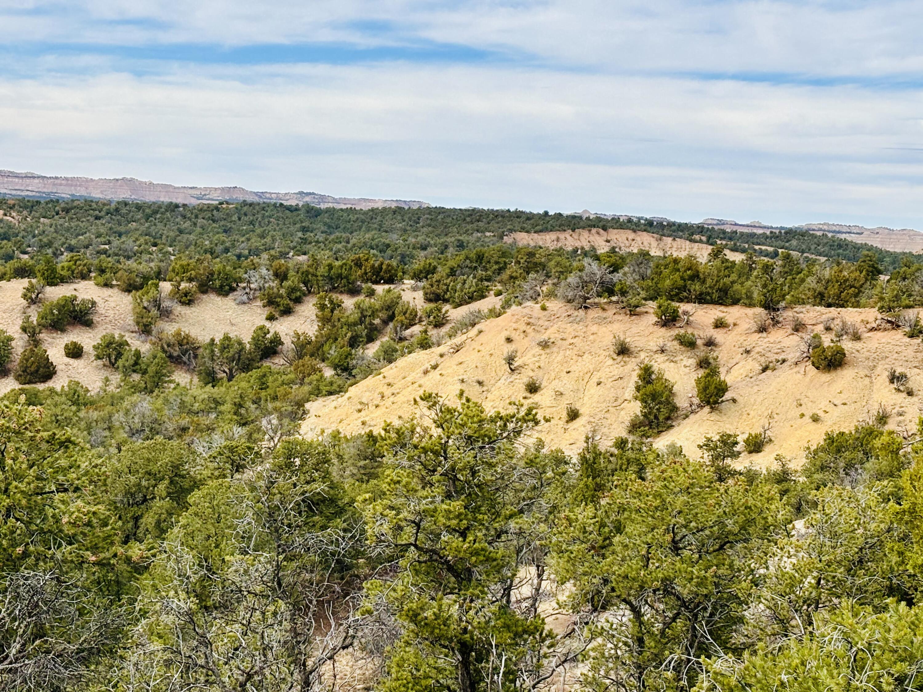 TR 2A Naranjo Creek, Regina, New Mexico image 13