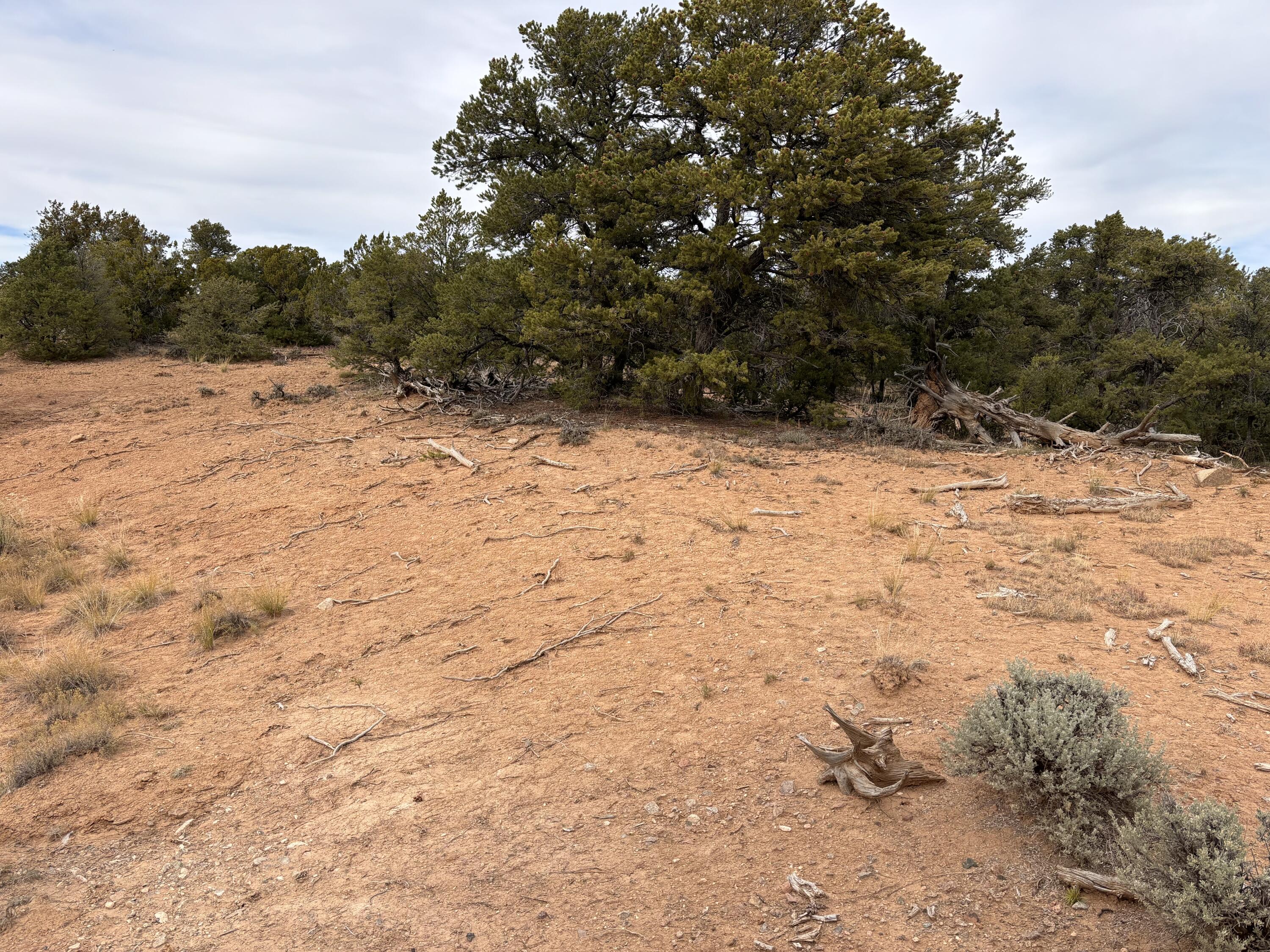 TR 2A Naranjo Creek, Regina, New Mexico image 8