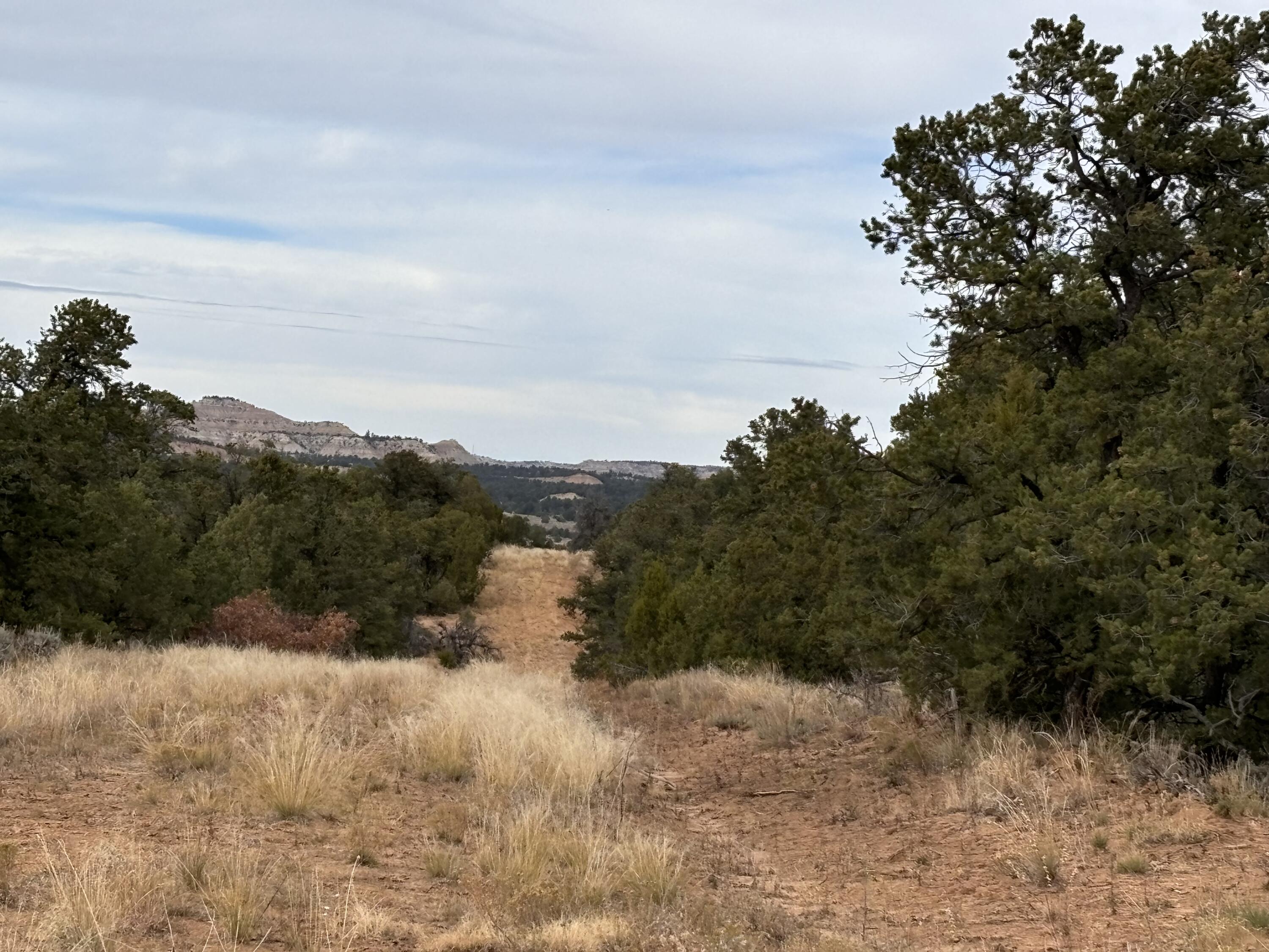 TR 2A Naranjo Creek, Regina, New Mexico image 5