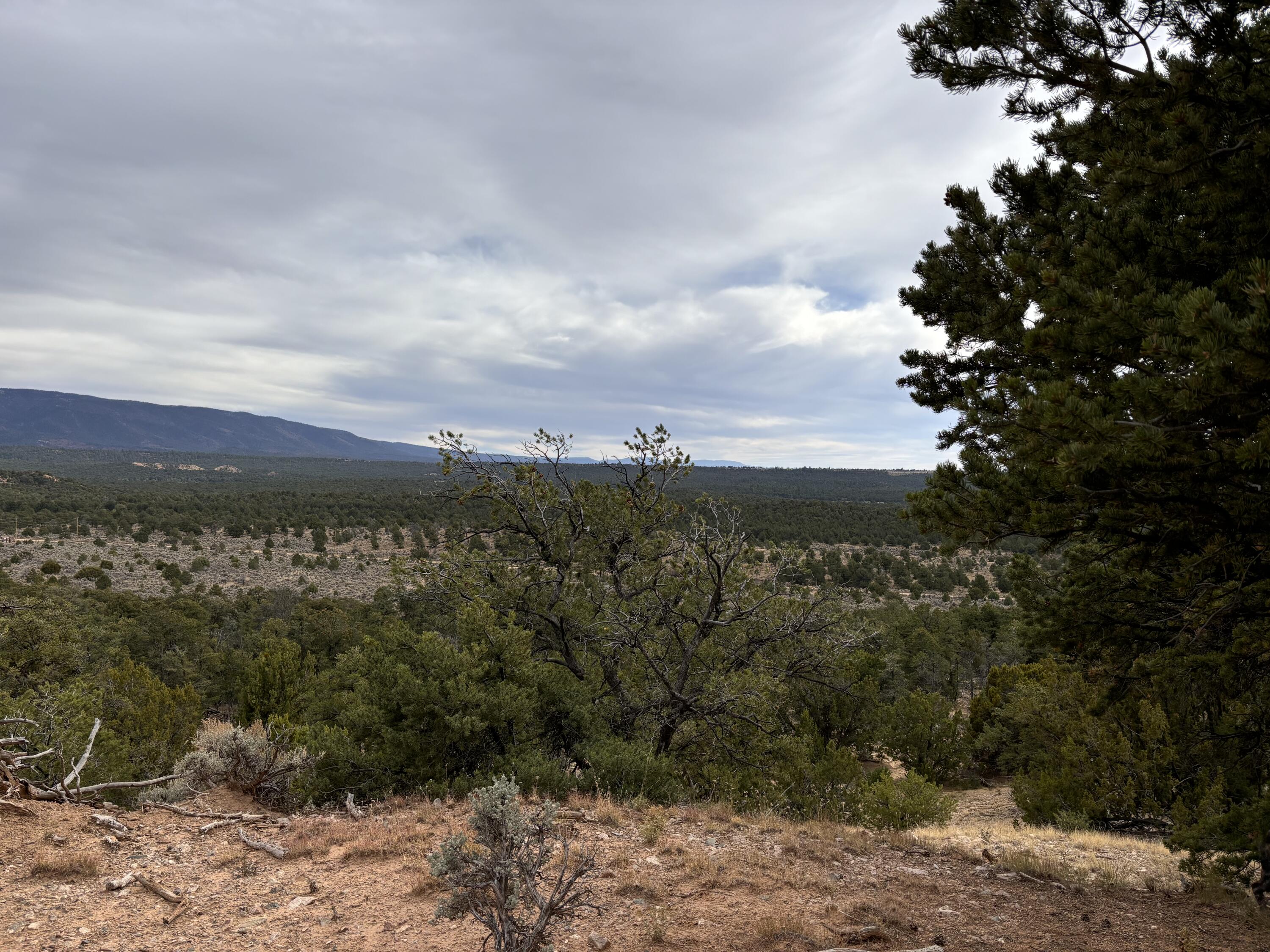 TR 2A Naranjo Creek, Regina, New Mexico image 4