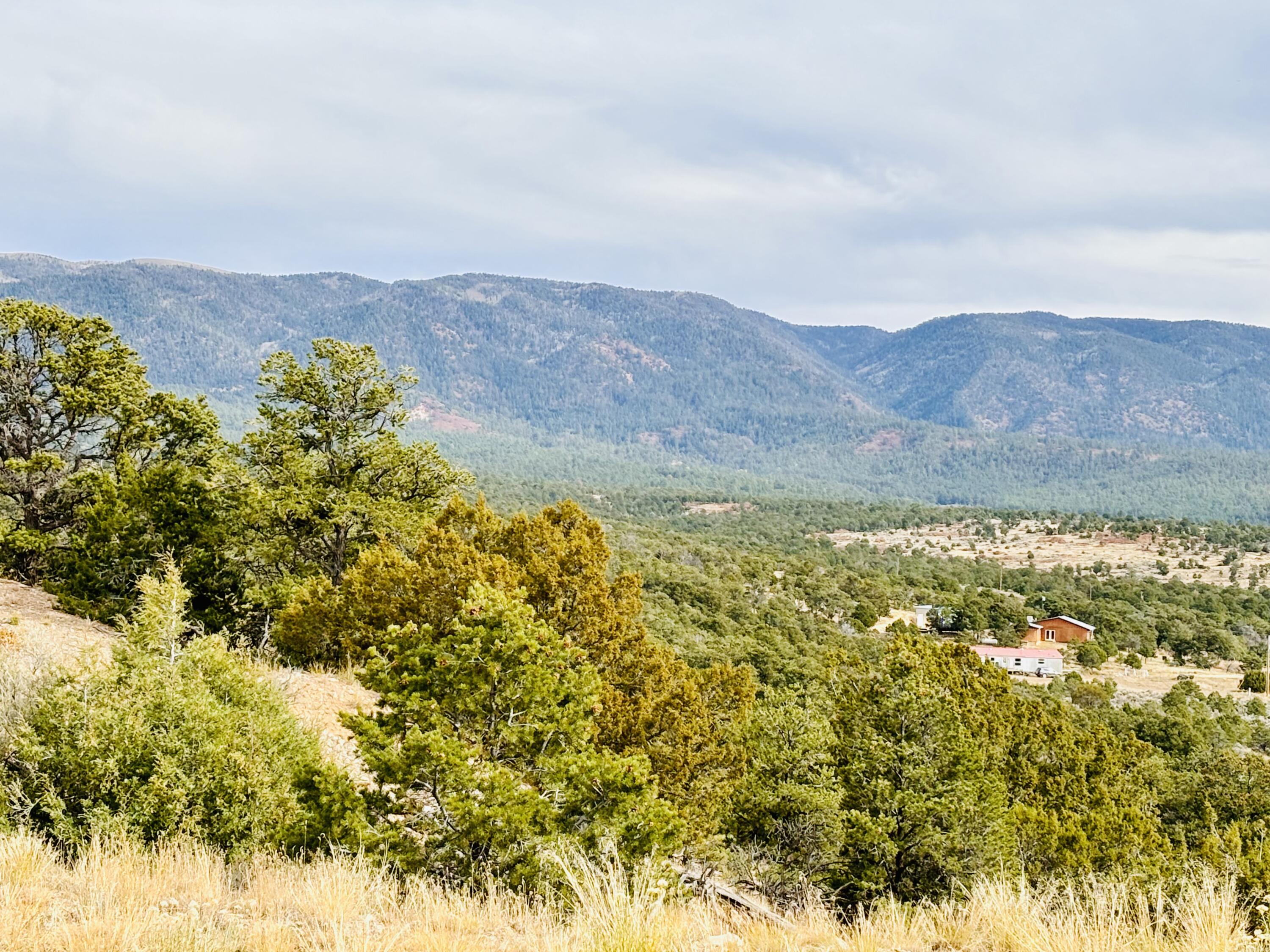 TR 2A Naranjo Creek, Regina, New Mexico image 2