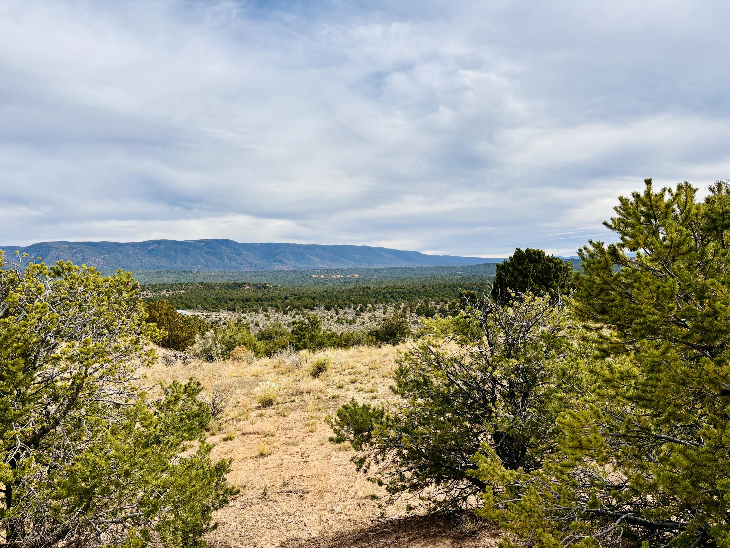 TR 2A Naranjo Creek, Regina, New Mexico image 19