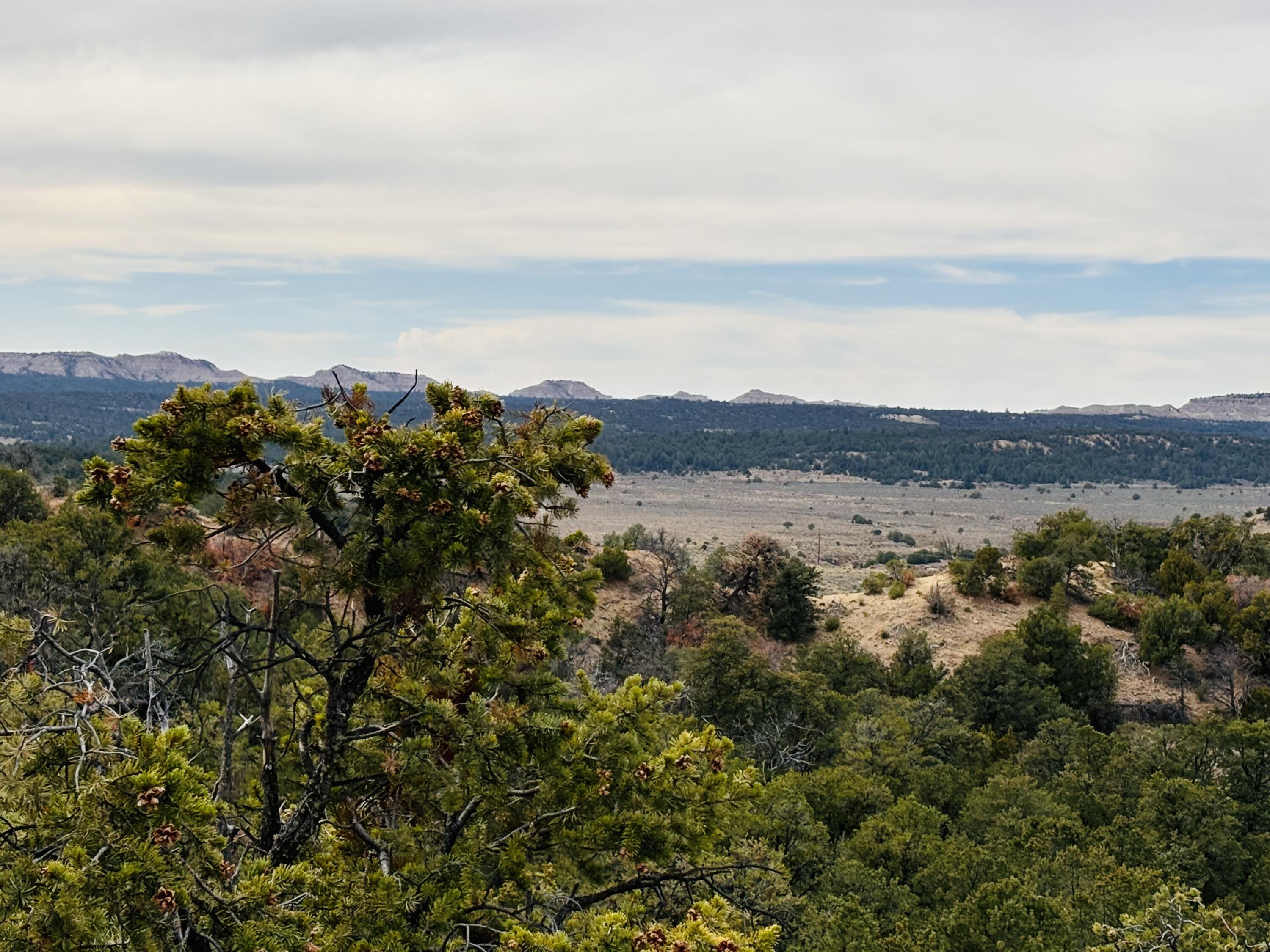 TR 2A Naranjo Creek, Regina, New Mexico image 16