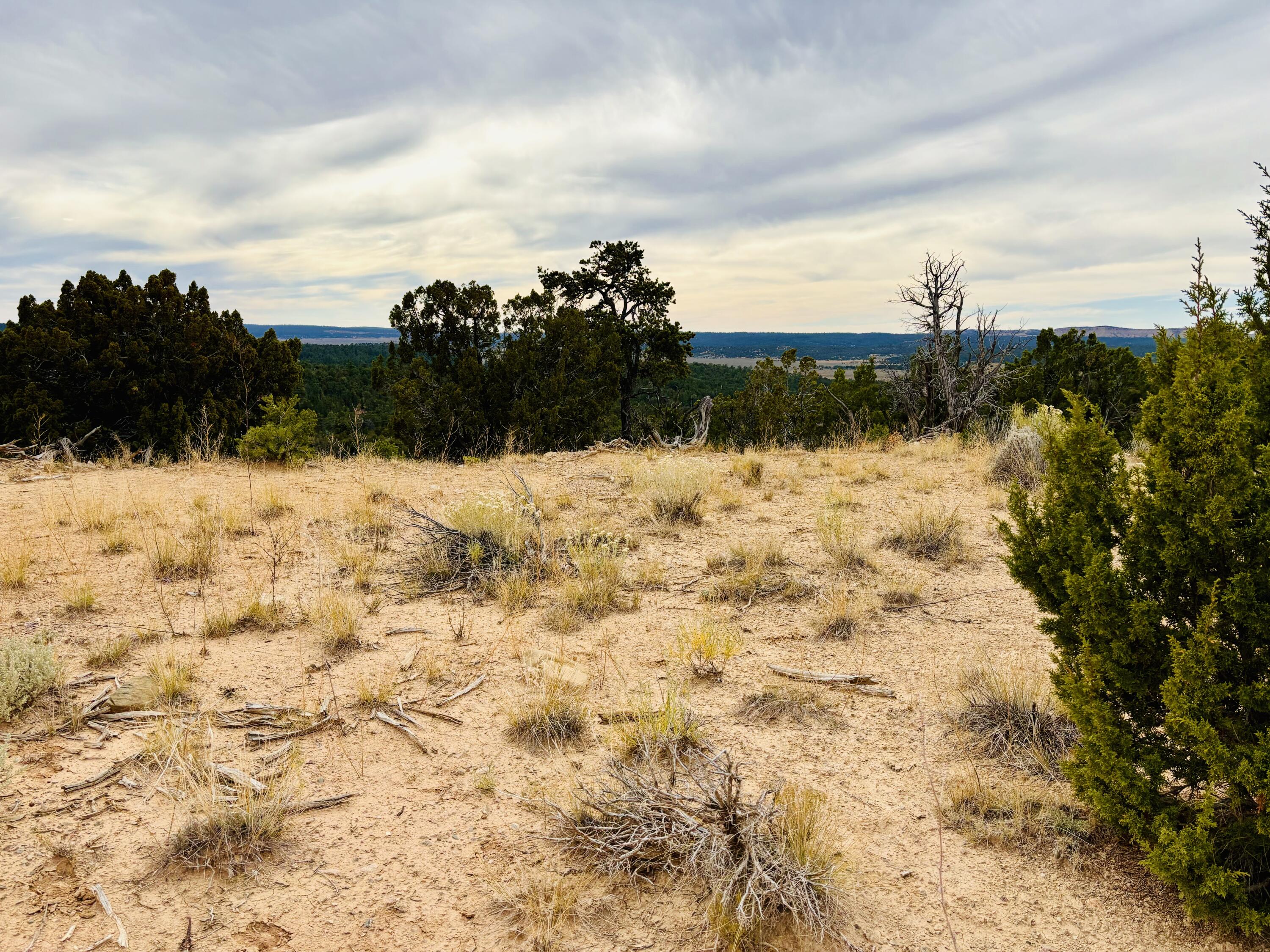 TR 2A Naranjo Creek, Regina, New Mexico image 15