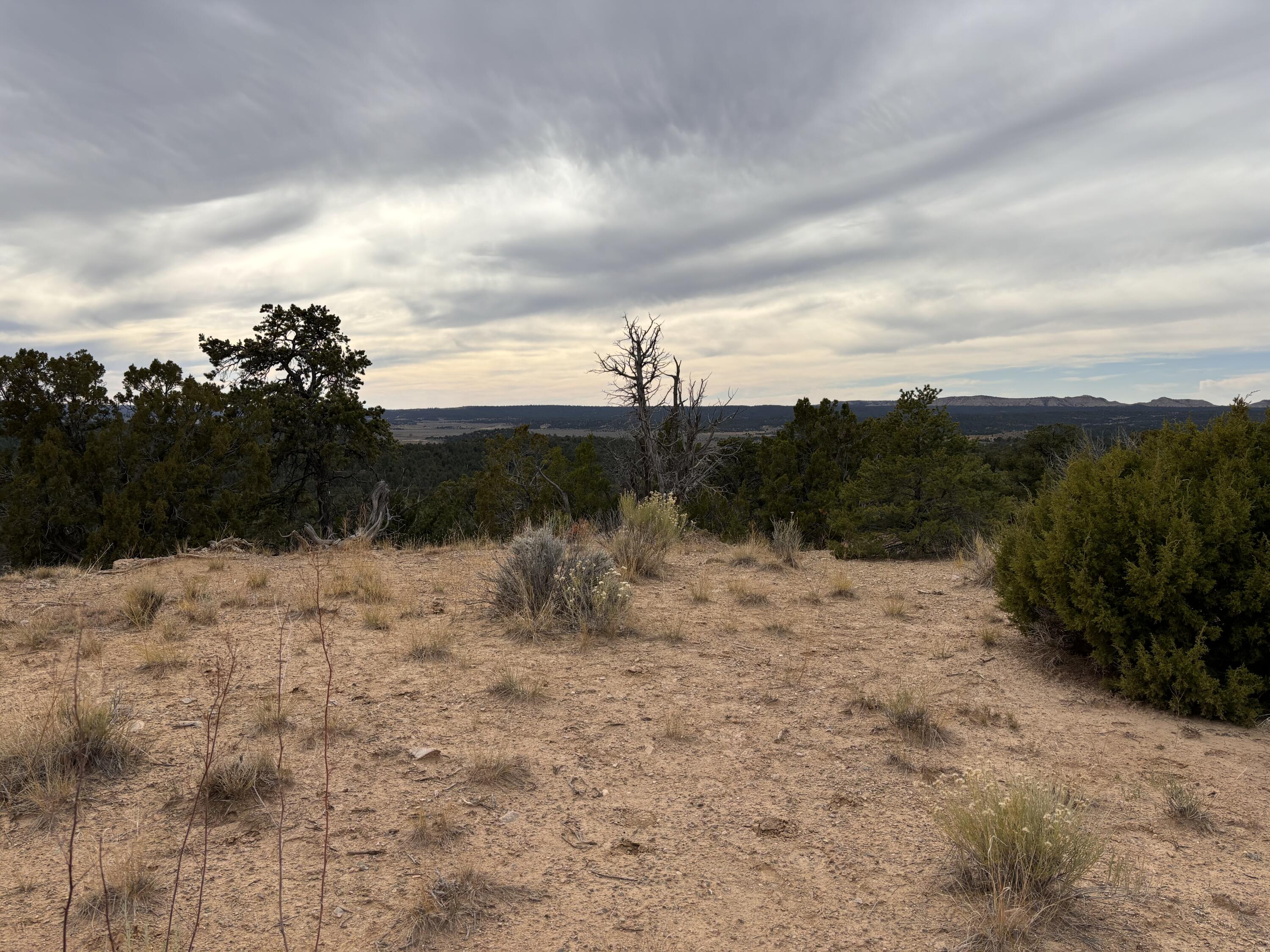 TR 2A Naranjo Creek, Regina, New Mexico image 14