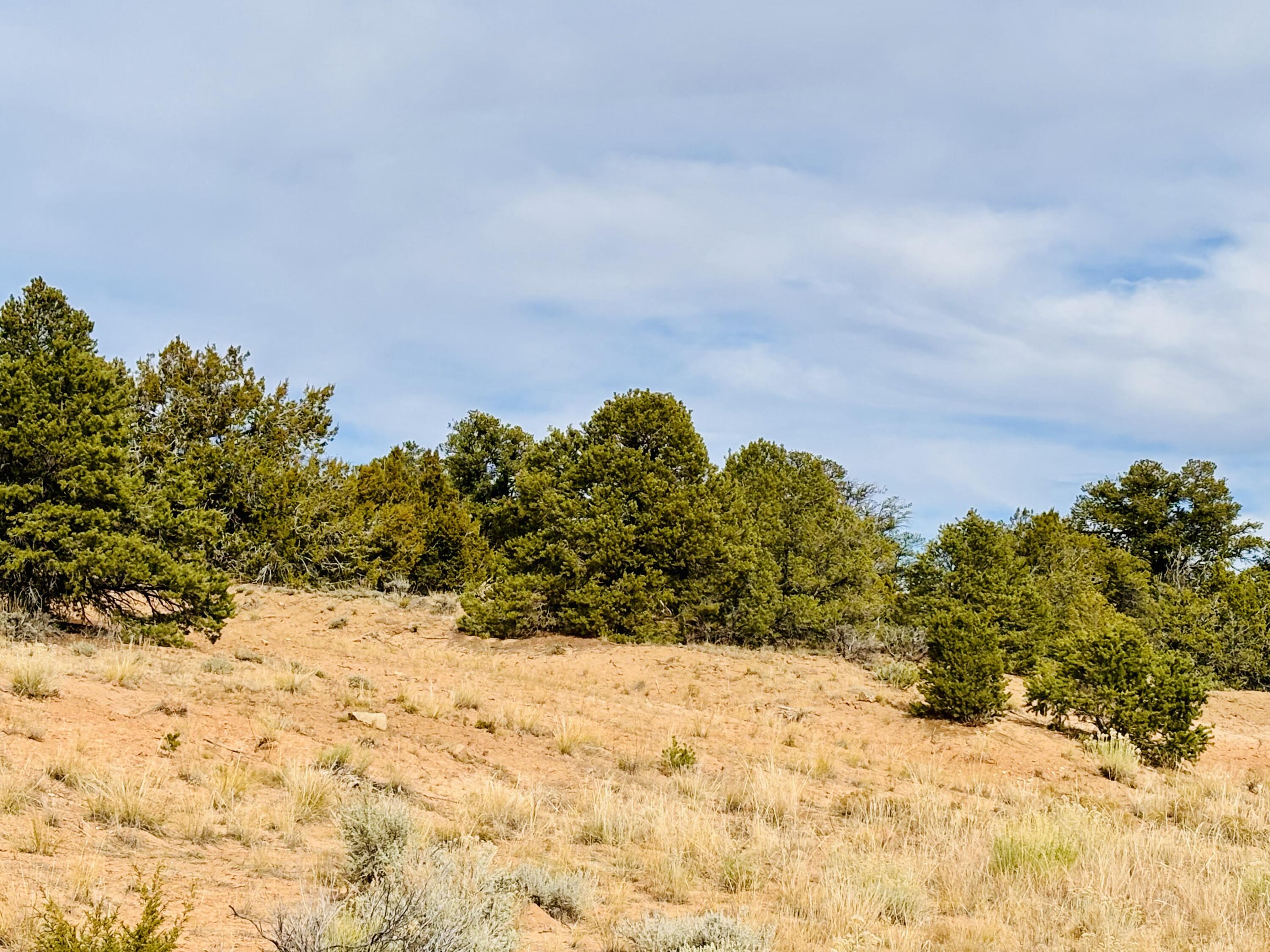 TR 2A Naranjo Creek, Regina, New Mexico image 17