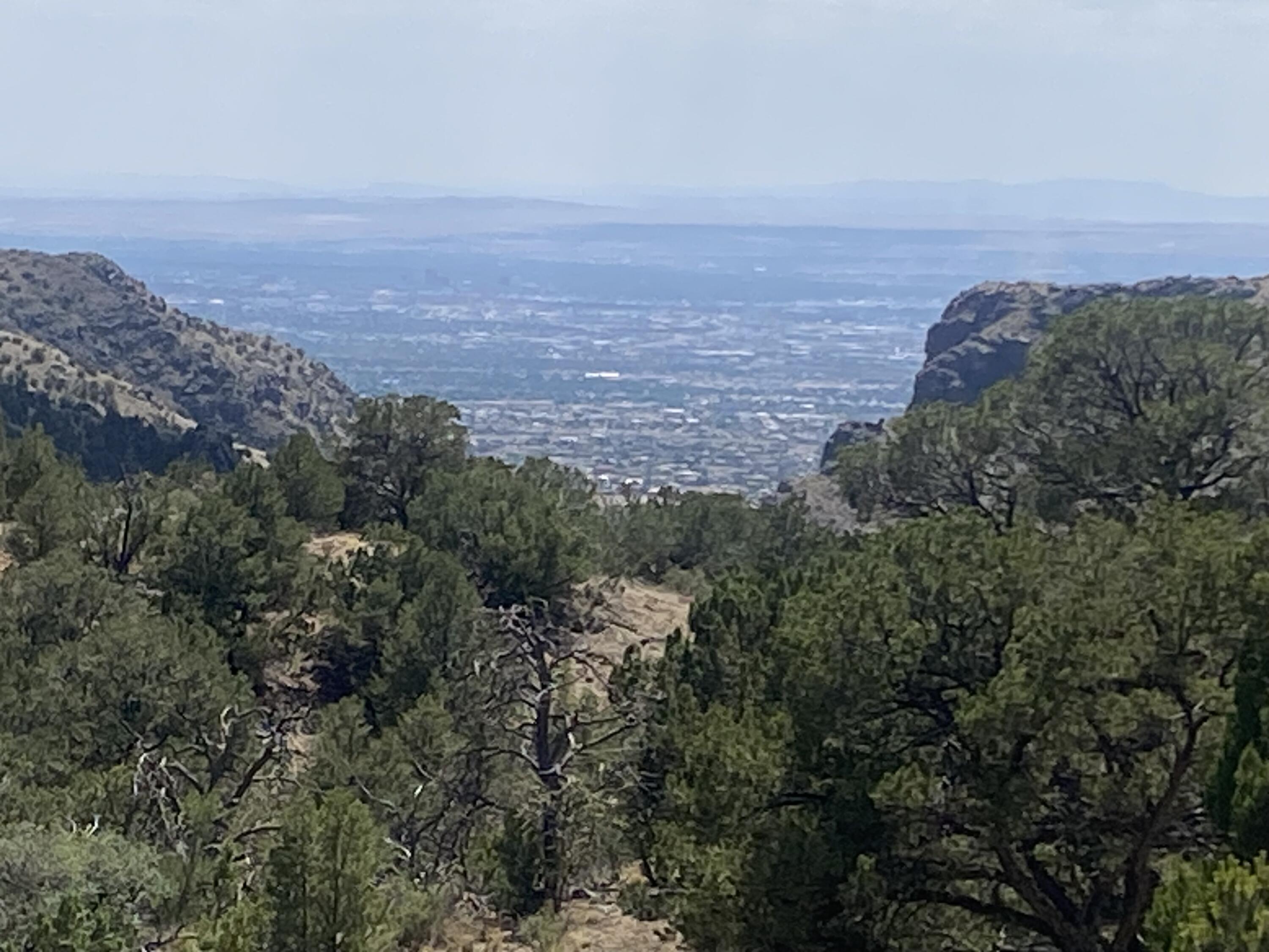 Photo 6 of 23 of 5 Sandia Drive Ne land