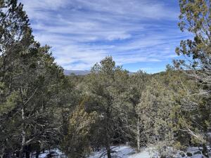 9 Sunset Place, Tijeras, New Mexico image 31