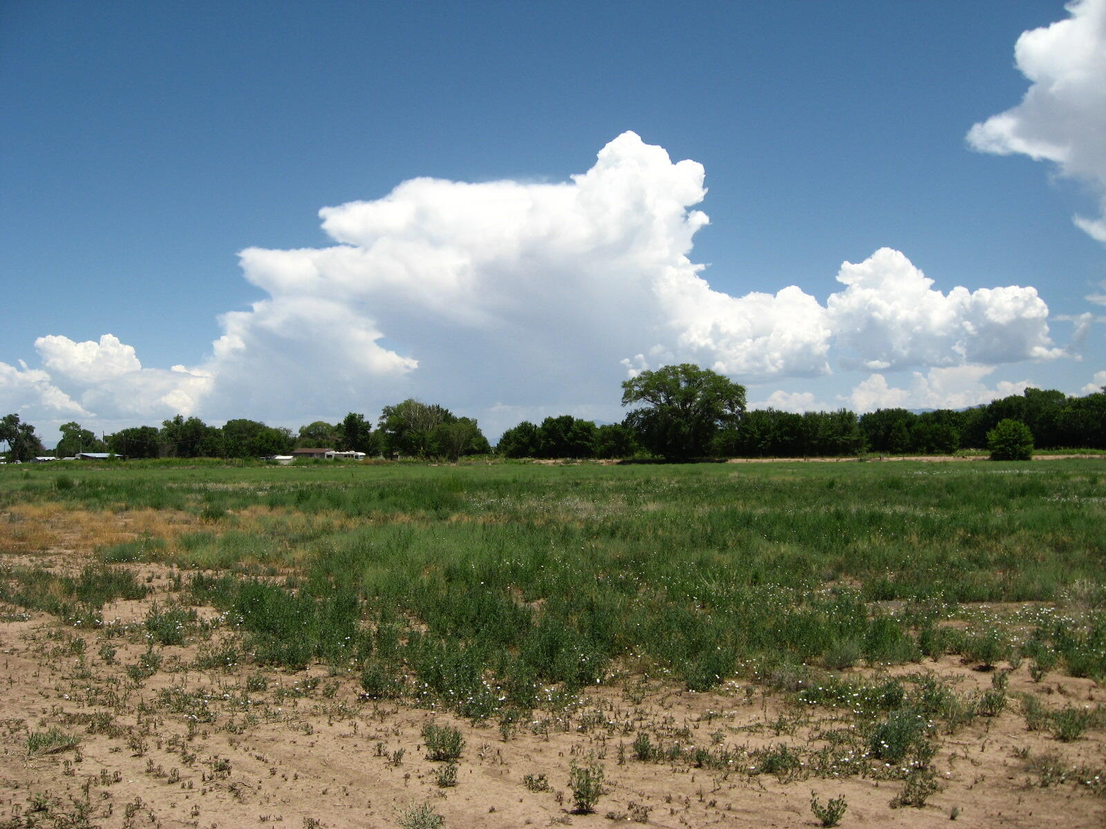 Tract 77a & 77b1, Bosque, New Mexico image 1