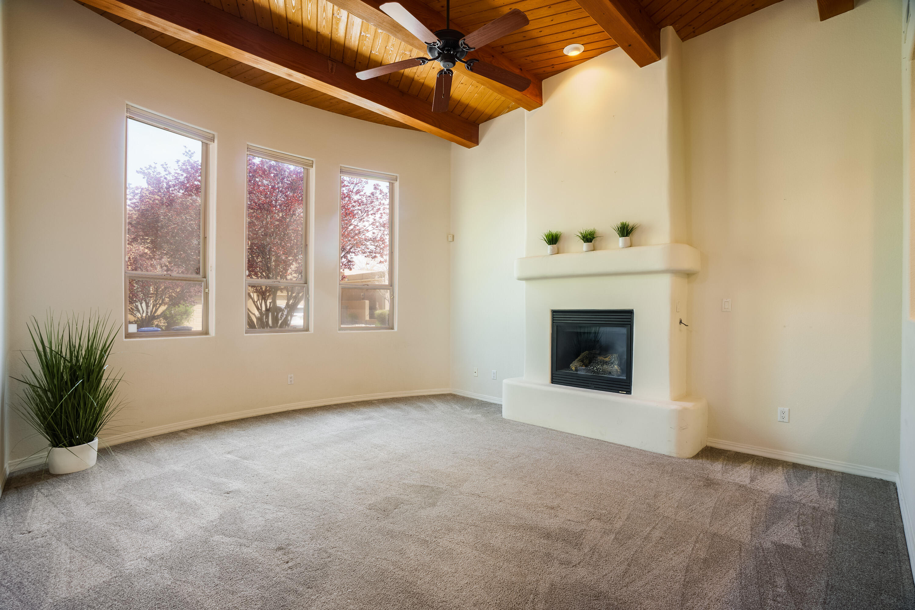 8736 Desert Fox Way, Albuquerque, New Mexico image 3