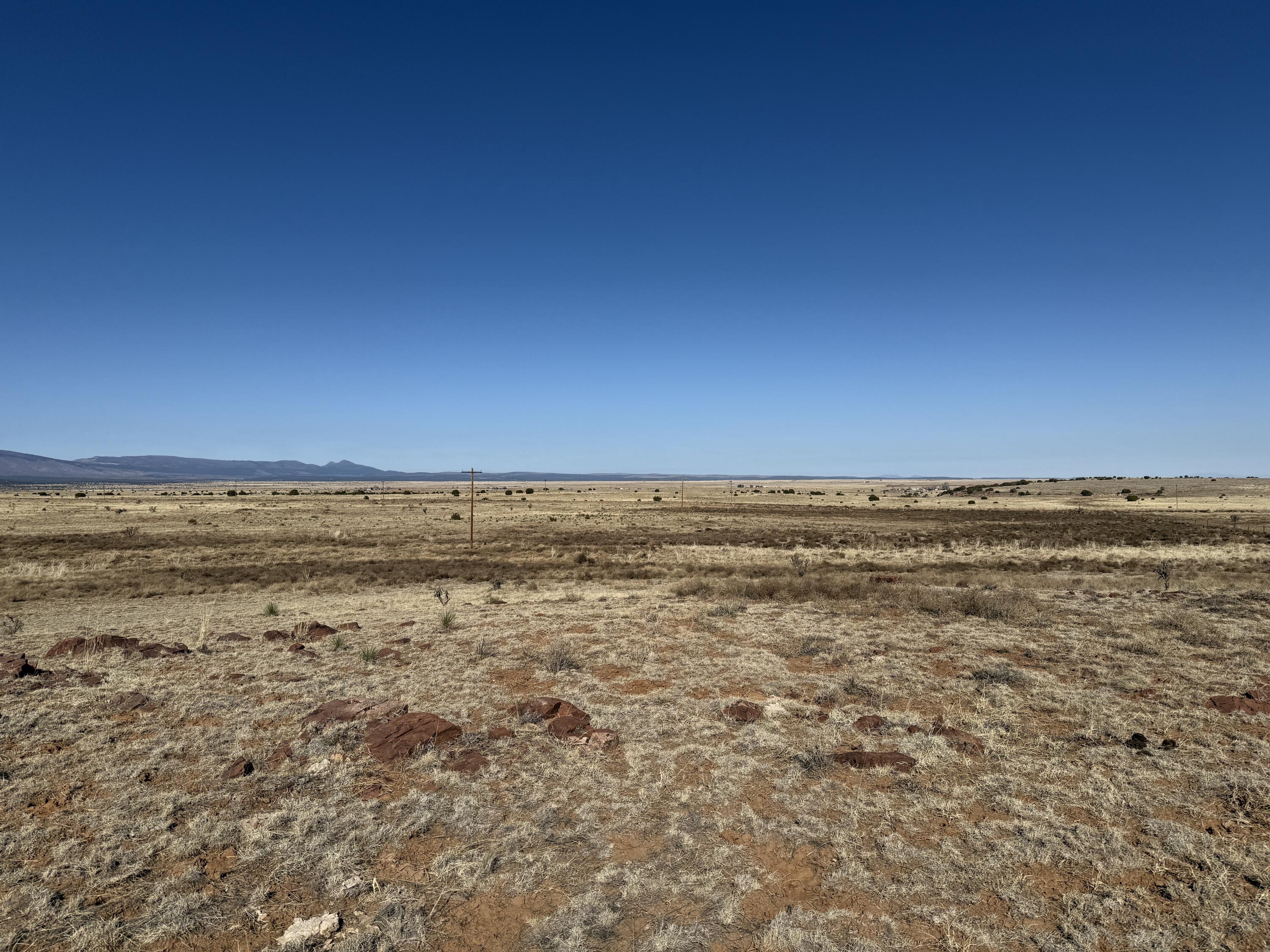 Old Willard Road, Mountainair, New Mexico image 10