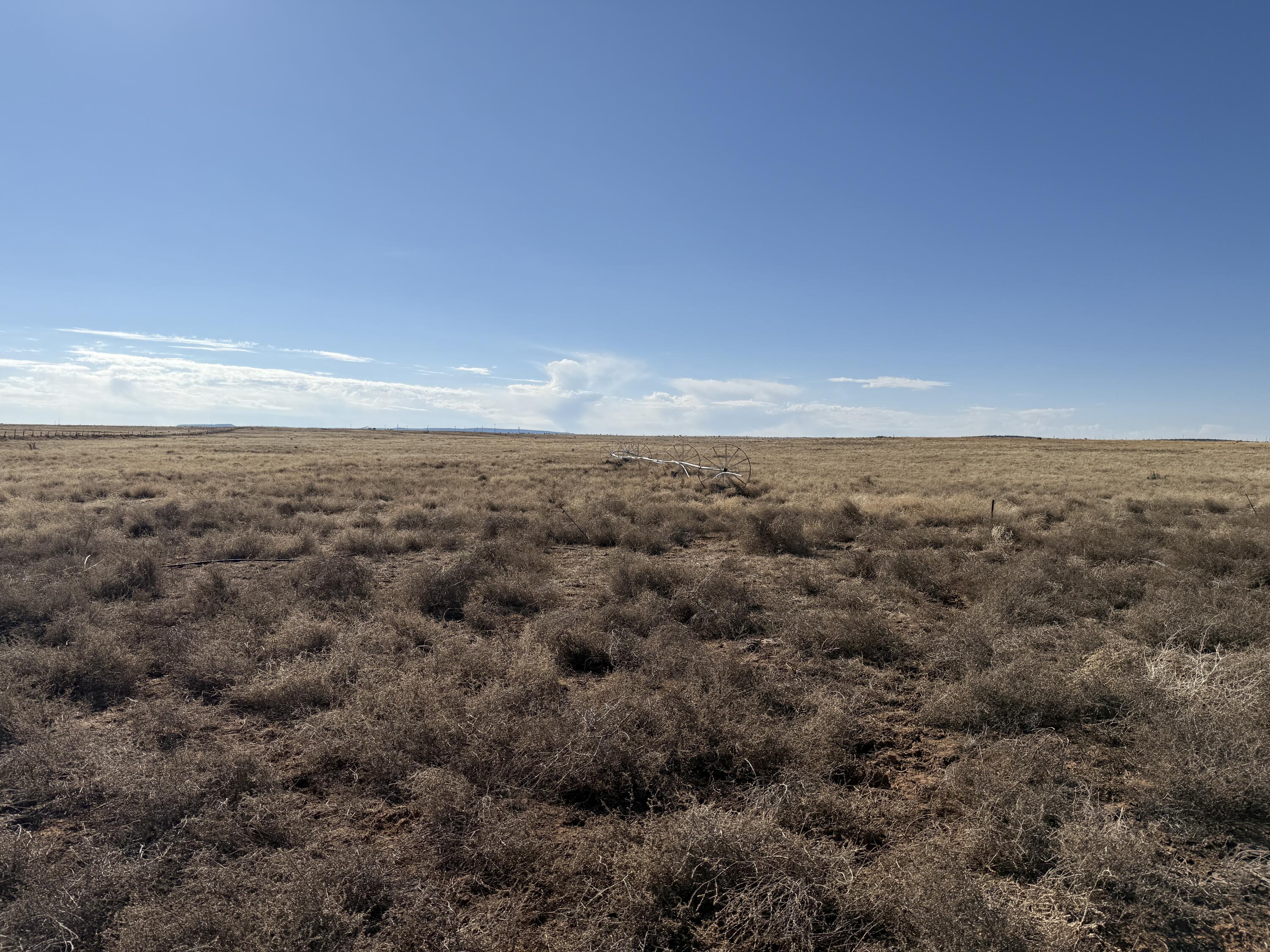 Old Willard Road, Mountainair, New Mexico image 5