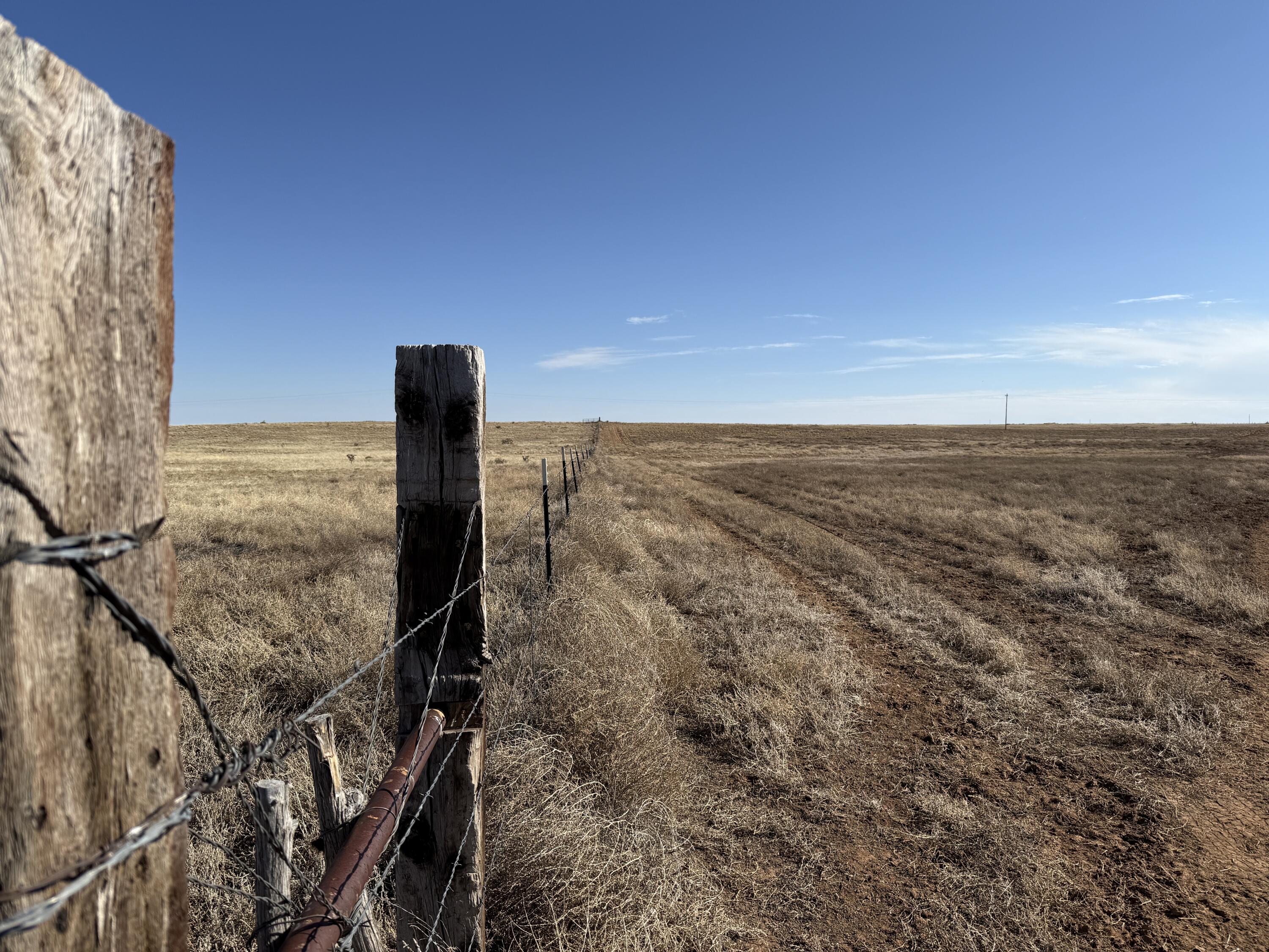 Old Willard Road, Mountainair, New Mexico image 16