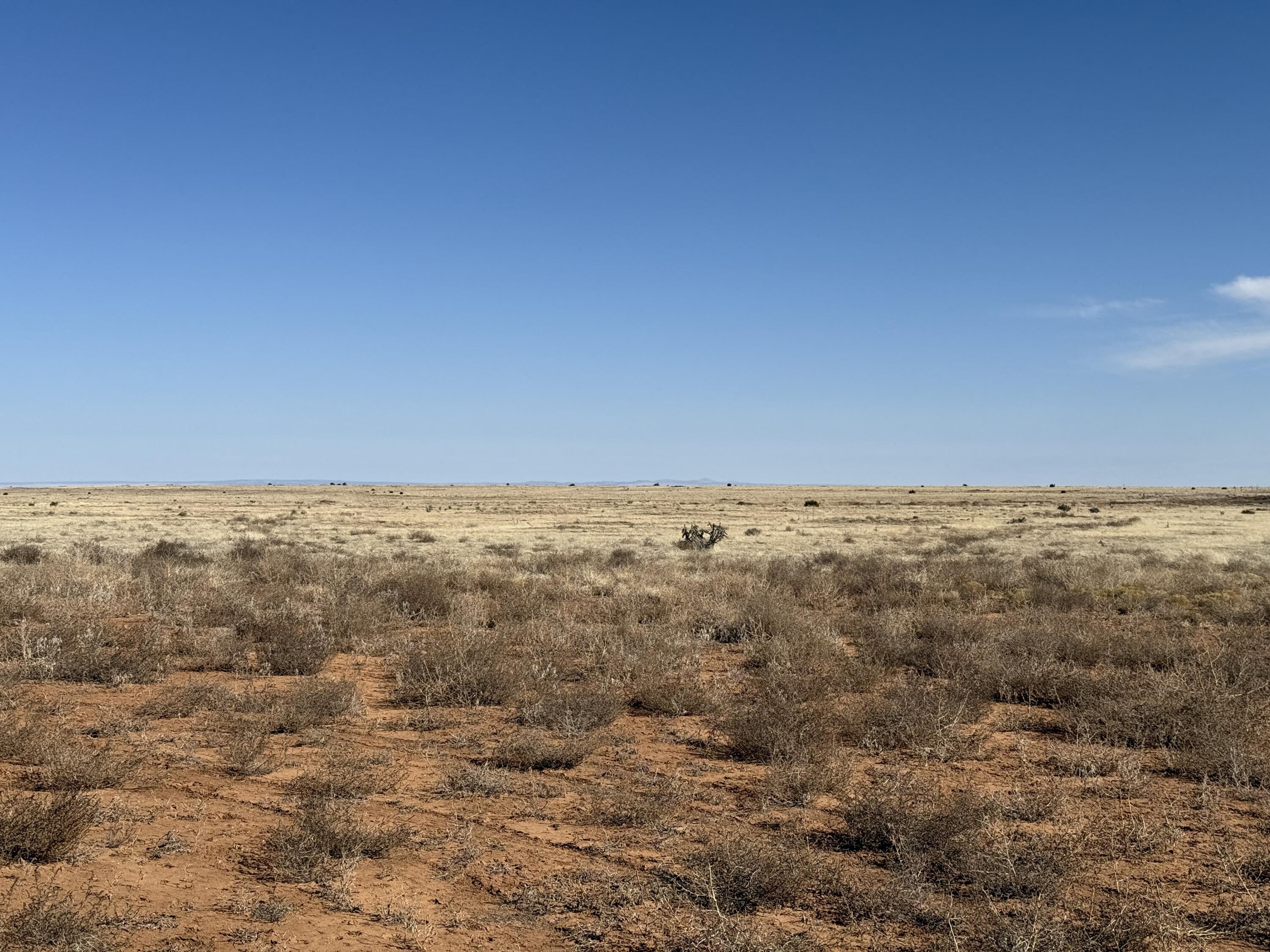 Old Willard Road, Mountainair, New Mexico image 29