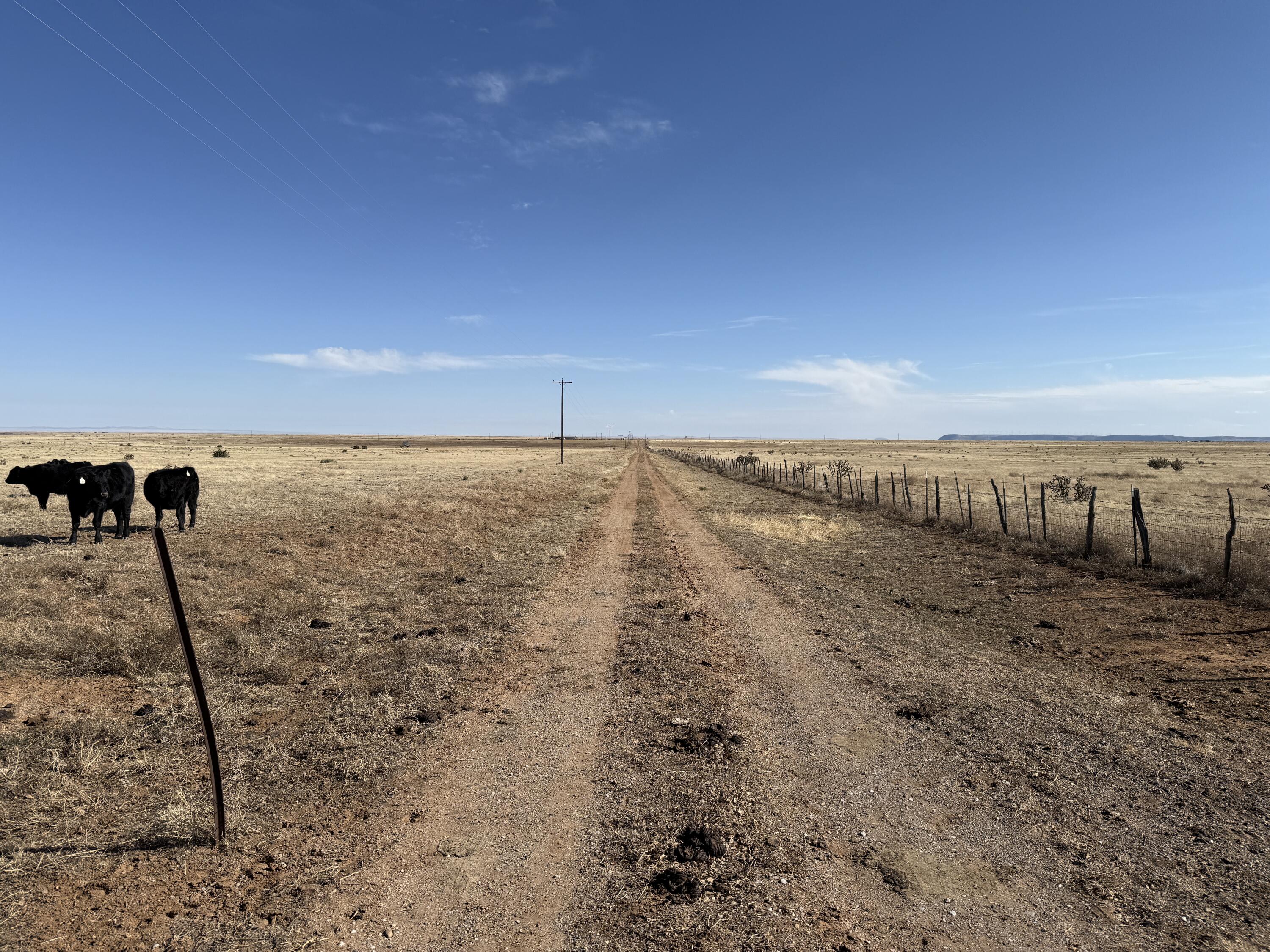 Old Willard Road, Mountainair, New Mexico image 37