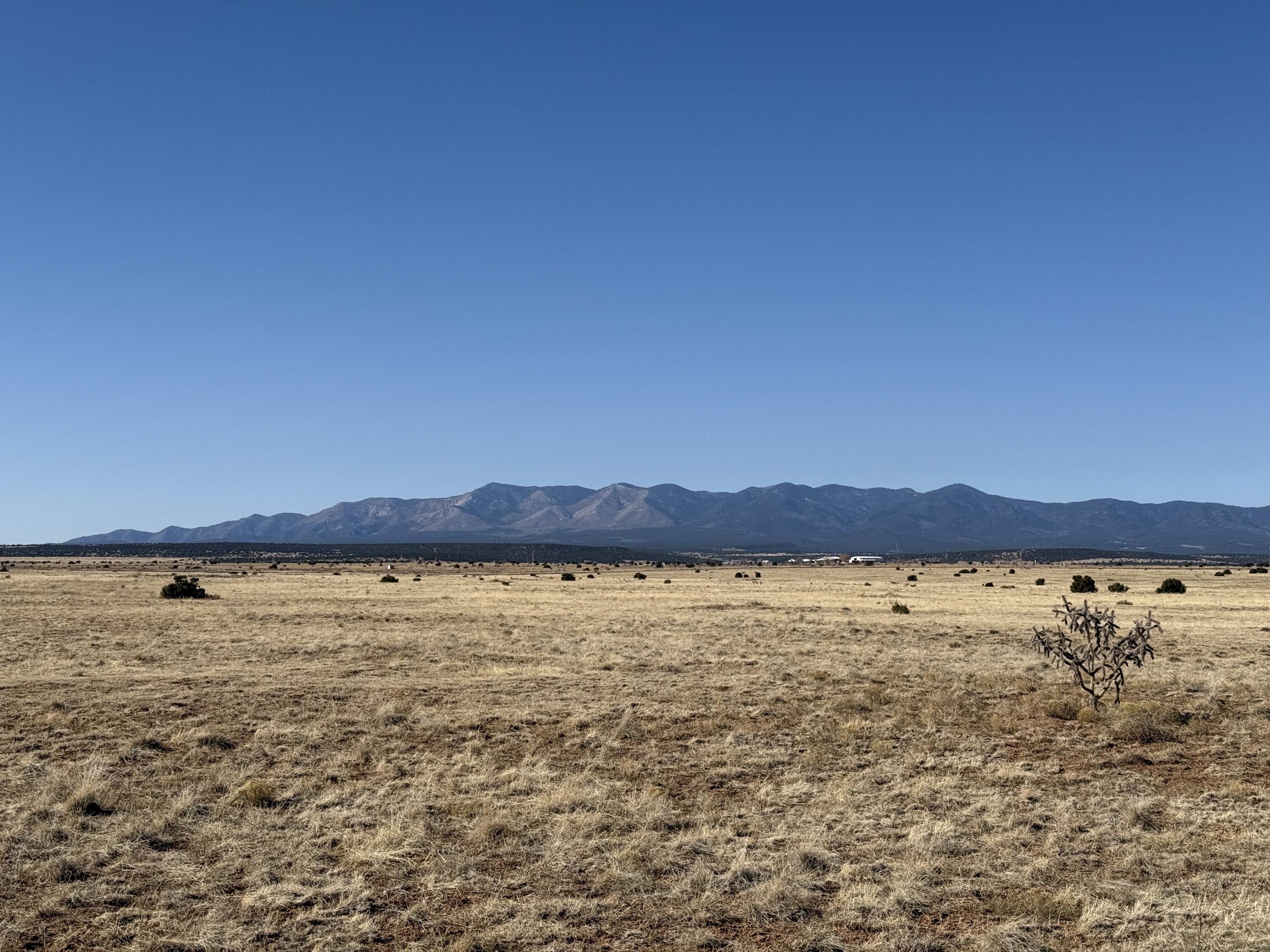 Old Willard Road, Mountainair, New Mexico image 17