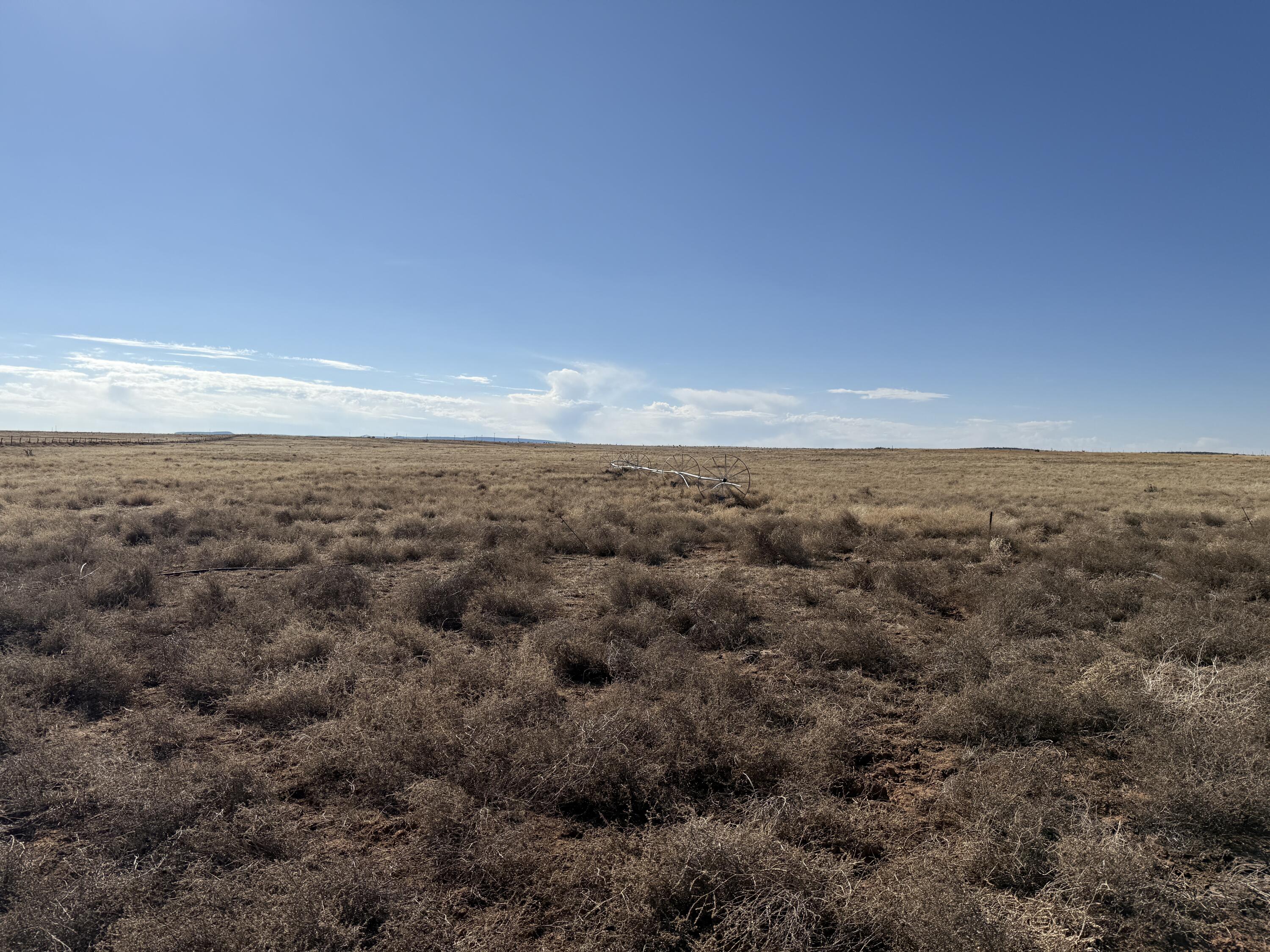 Old Willard Road, Mountainair, New Mexico image 4